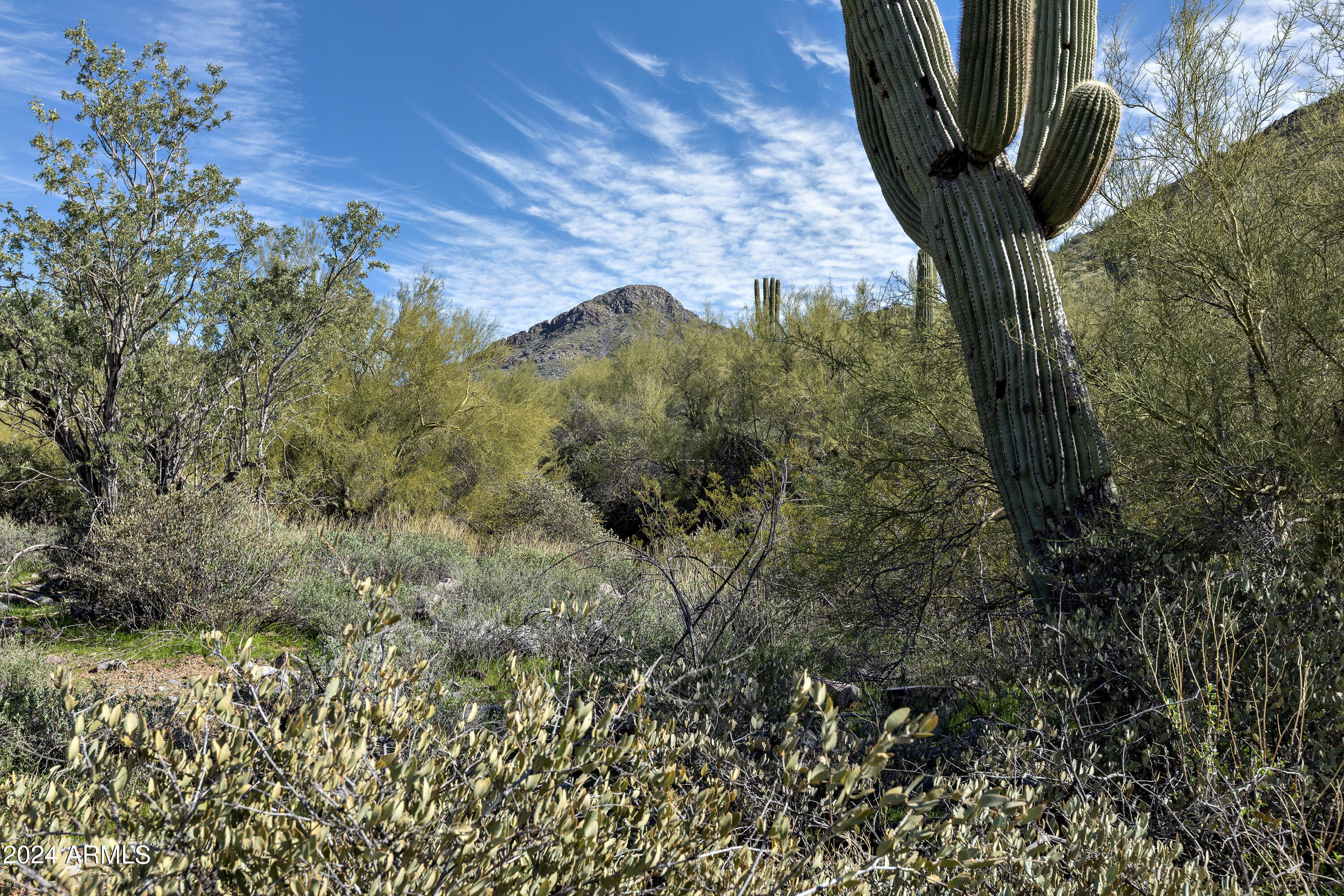 Scottsdale, Arizona 85255, United States, ,Land,Active,40076