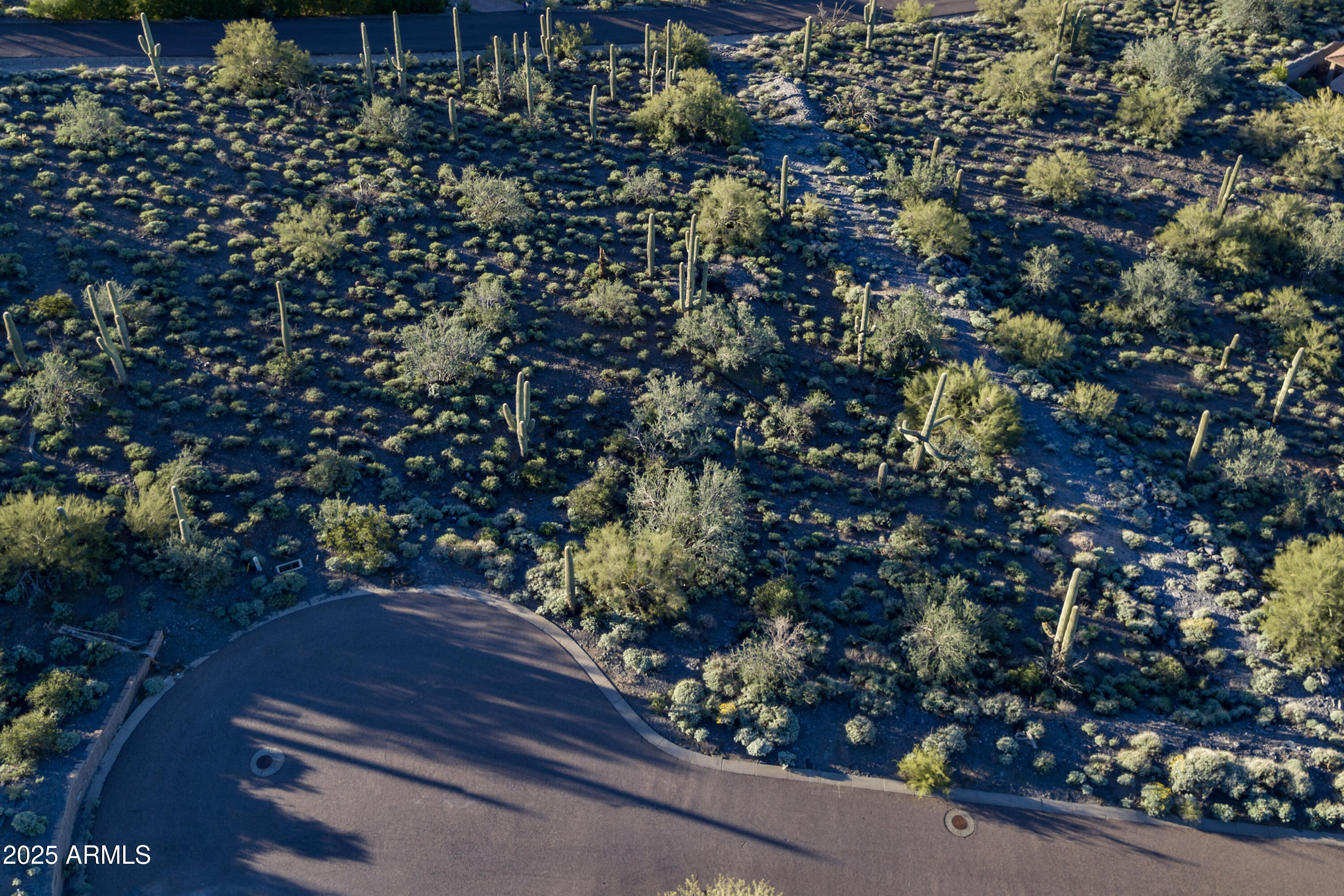 Cave Creek, Arizona 85331, United States, ,Land,Active,255314