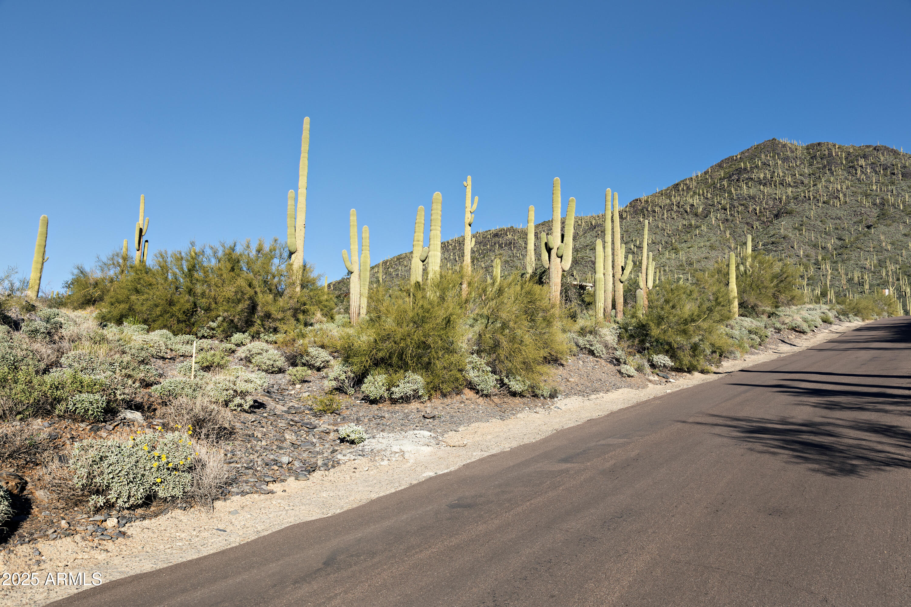 5949 E Hidden Valley Drive 9