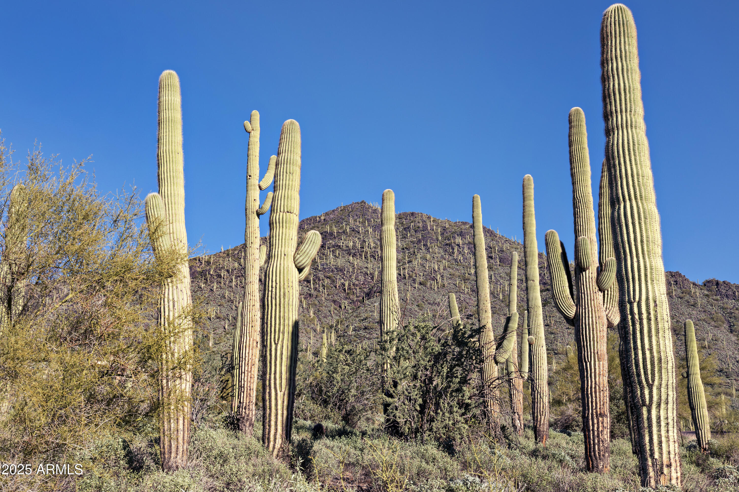 5949 E Hidden Valley Drive 9