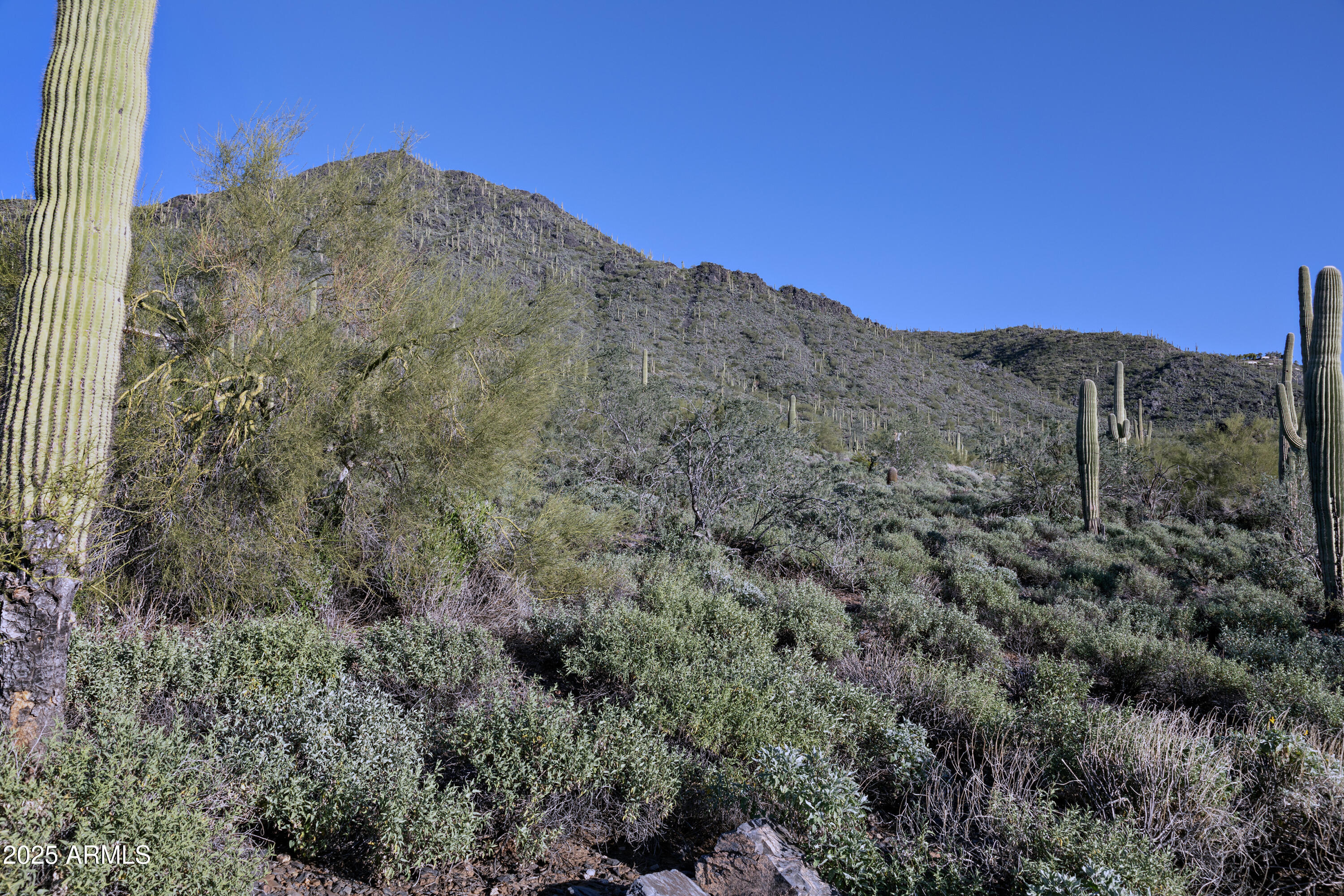 Cave Creek, Arizona 85331, United States, ,Land,Active,255314