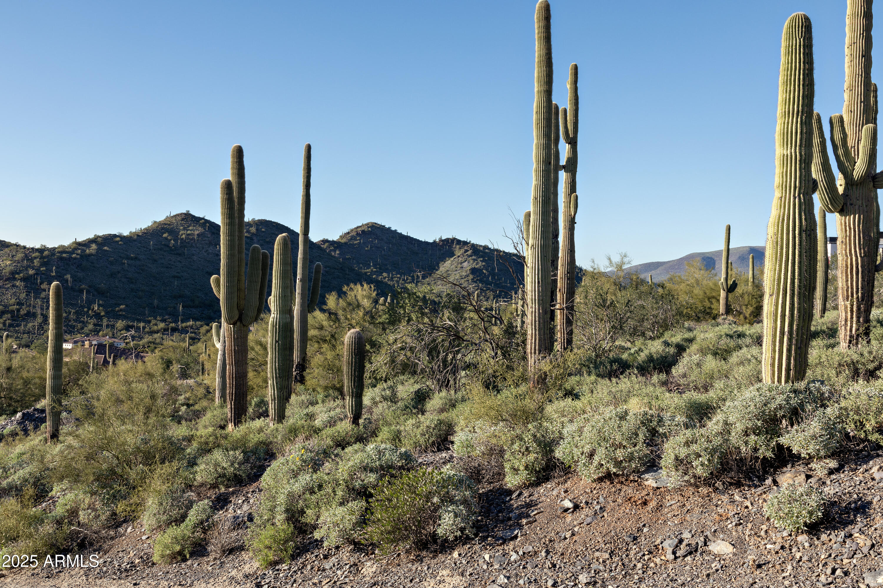 Cave Creek, Arizona 85331, United States, ,Land,Active,255314
