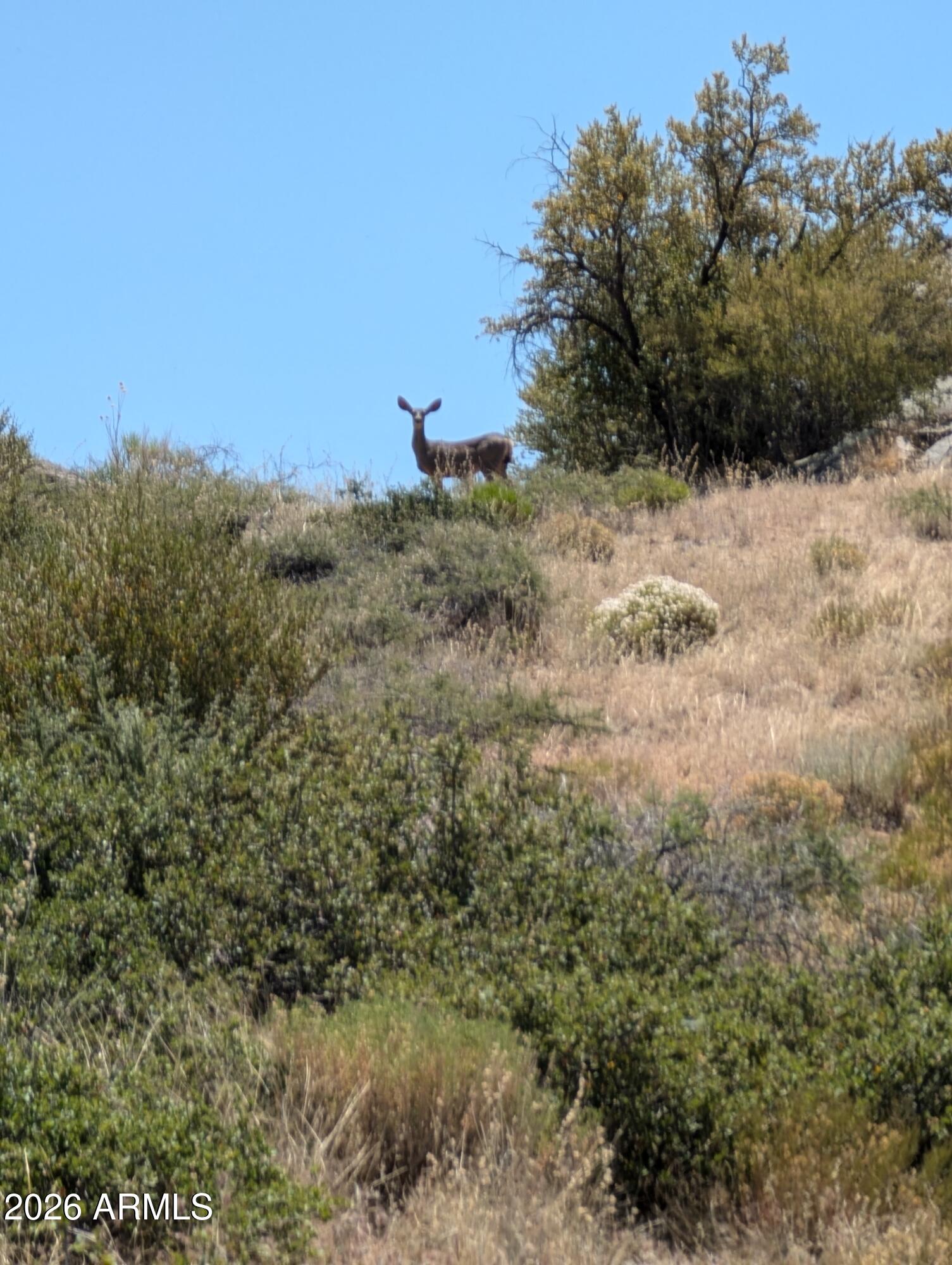 xxxx N White Spar (89) 1B Highway 1B