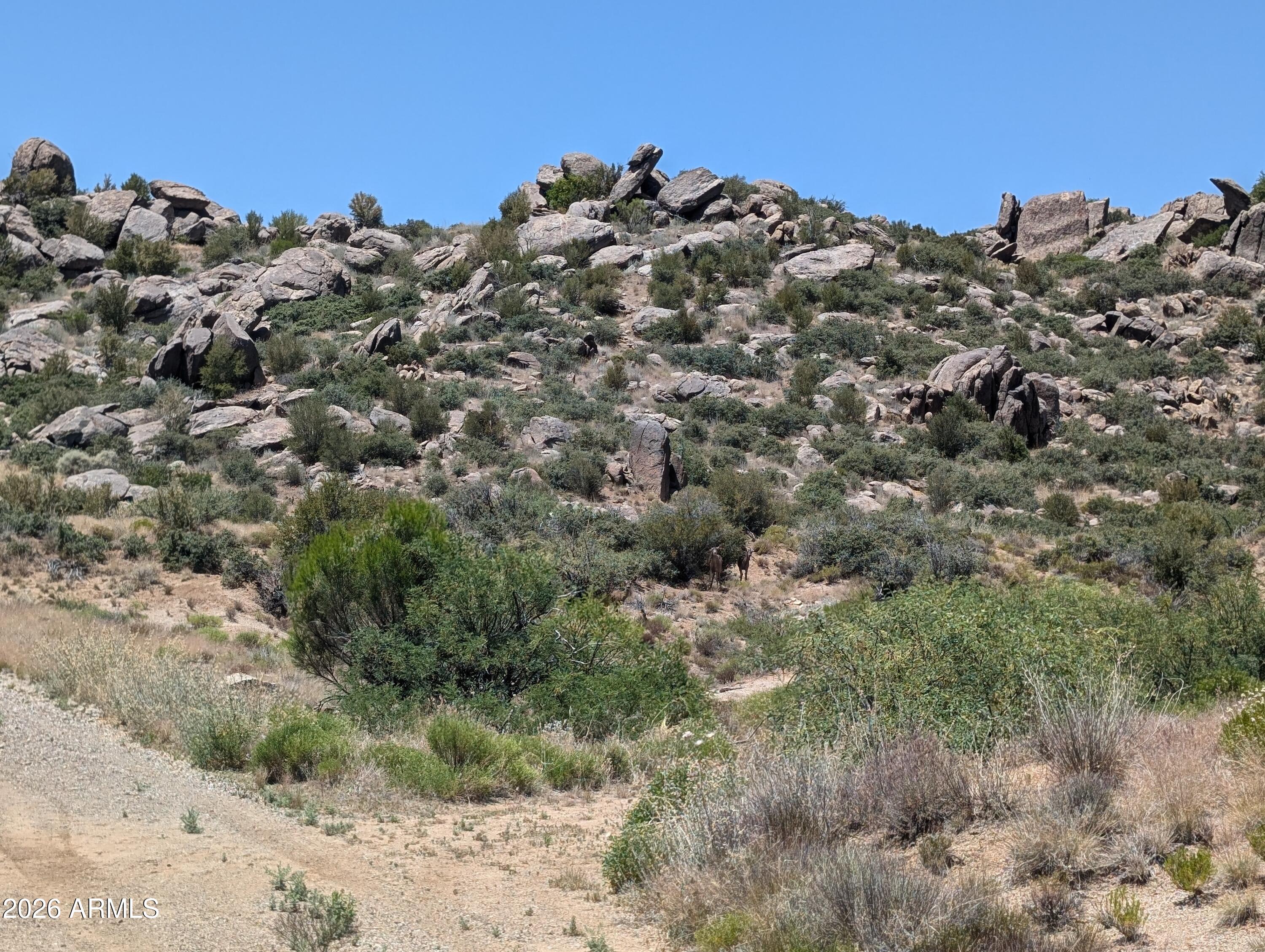 xxxx N White Spar (89) 1B Highway 1B