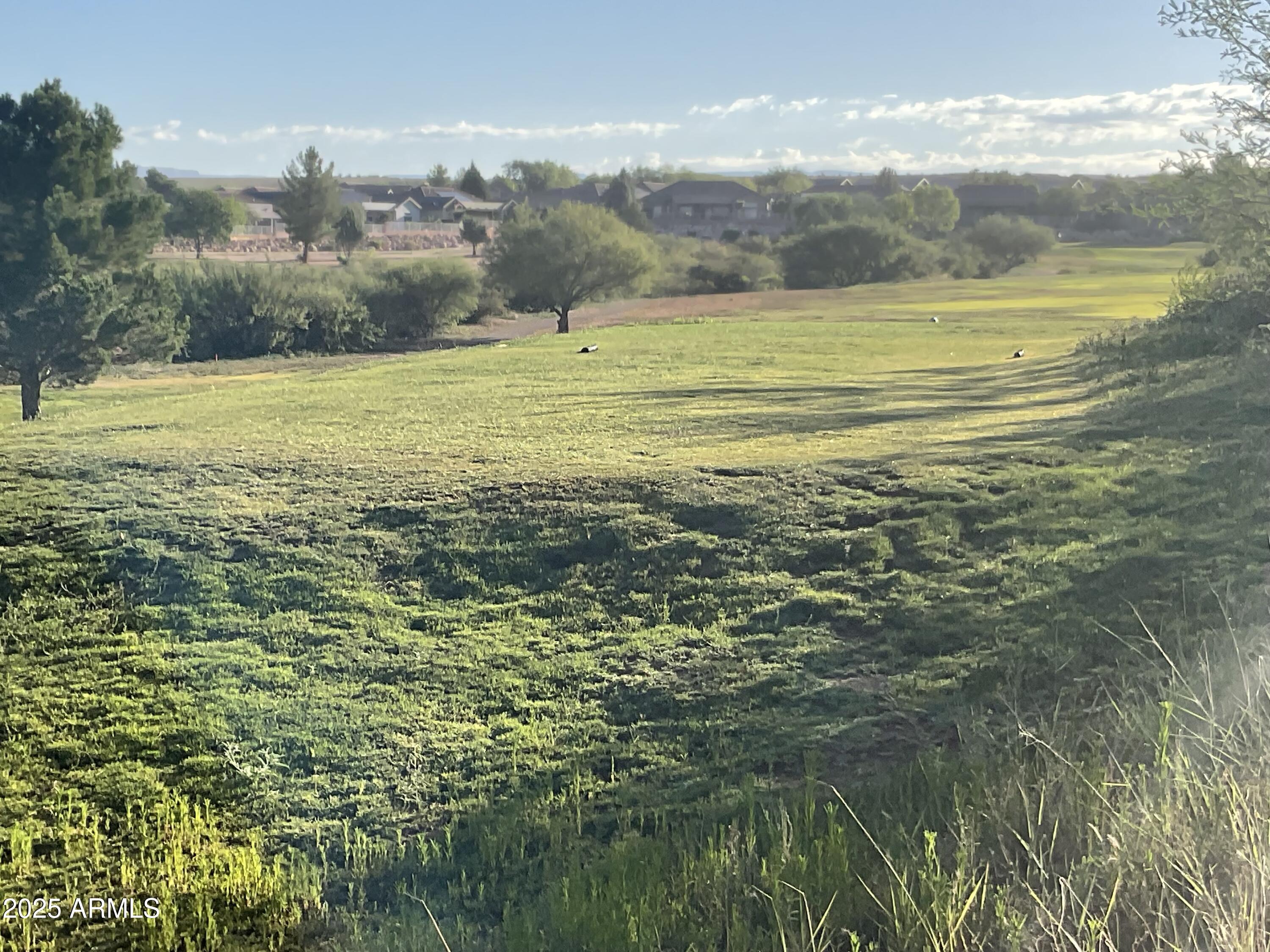 1105 S VERDE SANTA FE Parkway 17