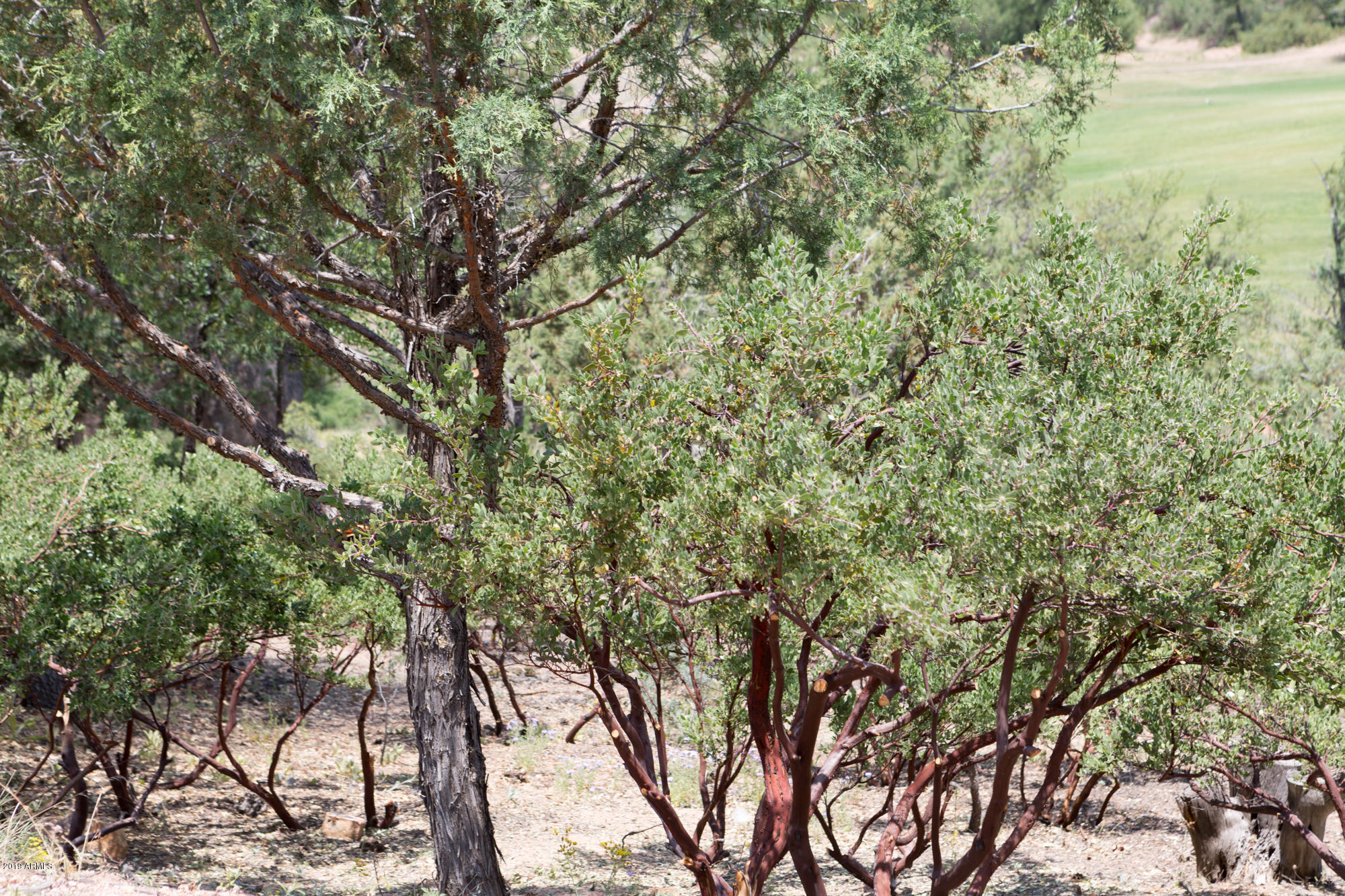 910 S MONUMENT VALLEY Drive 149