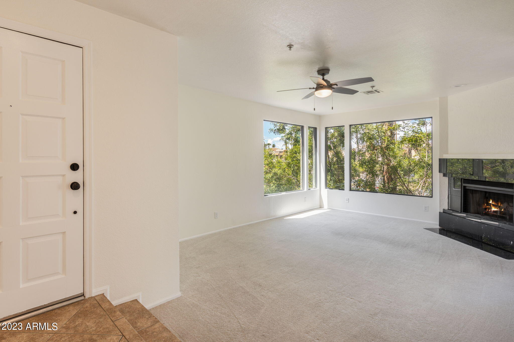 10080 E MOUNTAINVIEW LAKE Drive 264