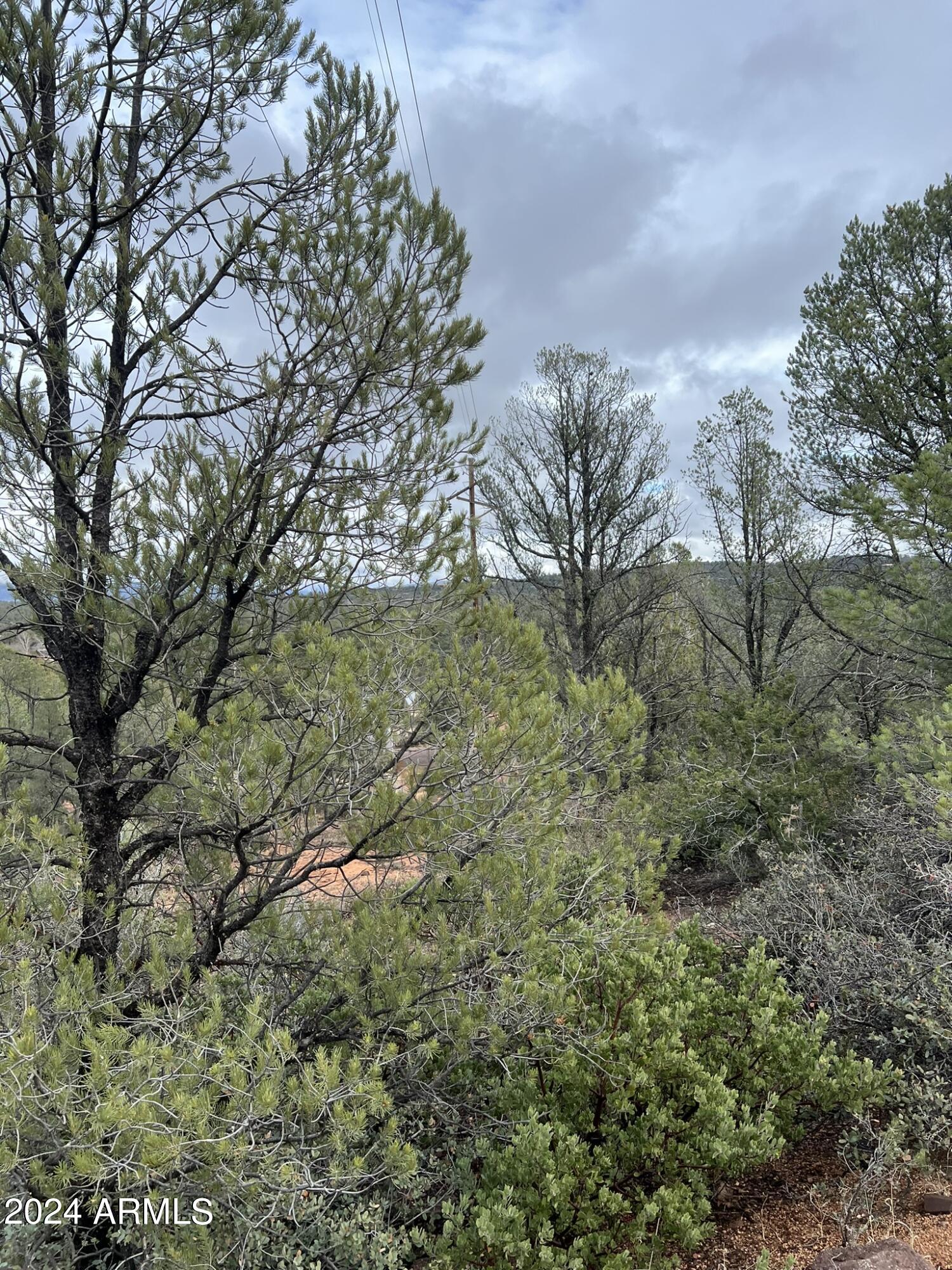 Payson, Arizona 85541, United States, 4 Bedrooms Bedrooms, ,4 BathroomsBathrooms,Residential,Active,60978