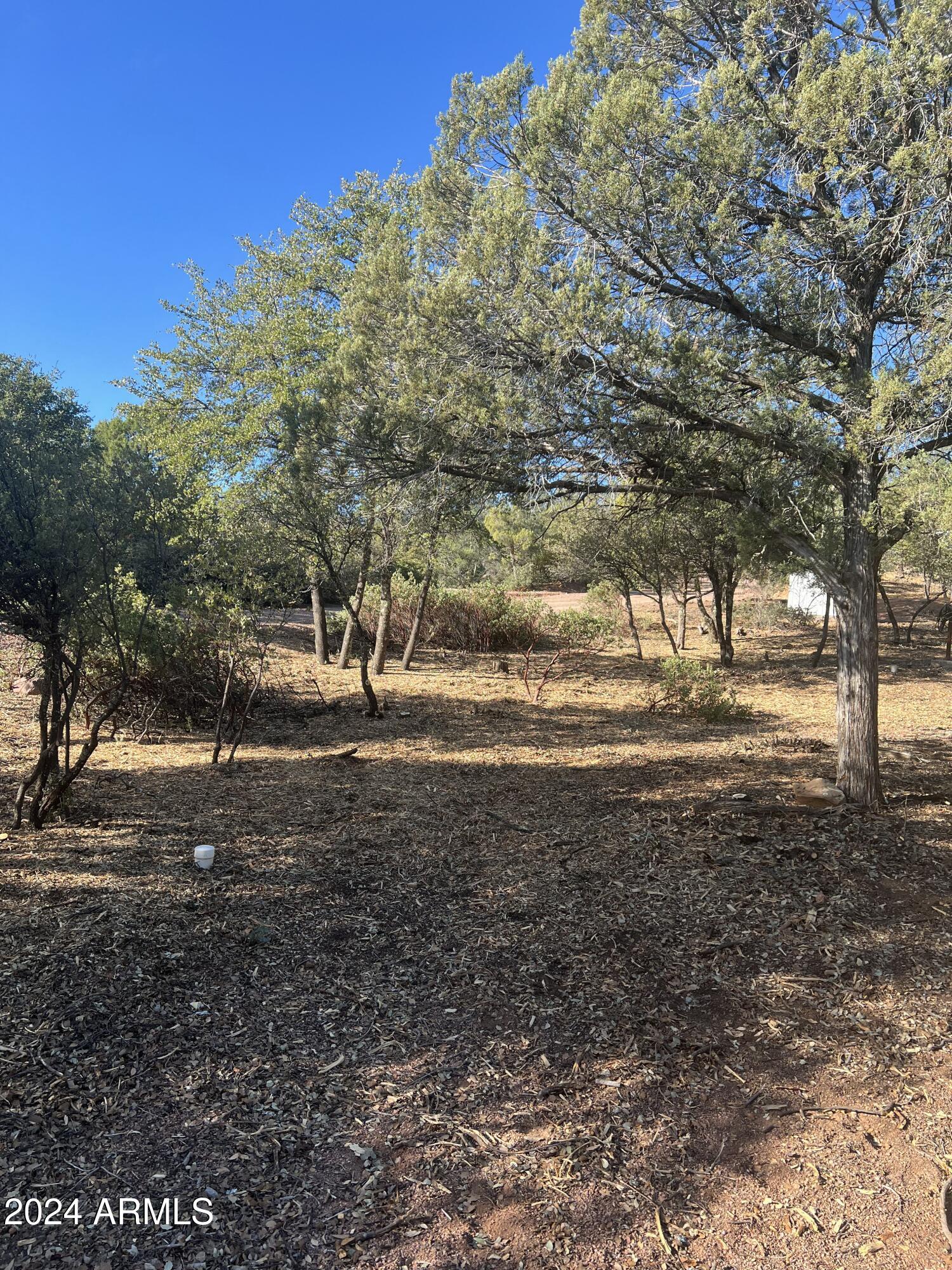 Payson, Arizona 85541, United States, 4 Bedrooms Bedrooms, ,4 BathroomsBathrooms,Residential,Active,60978