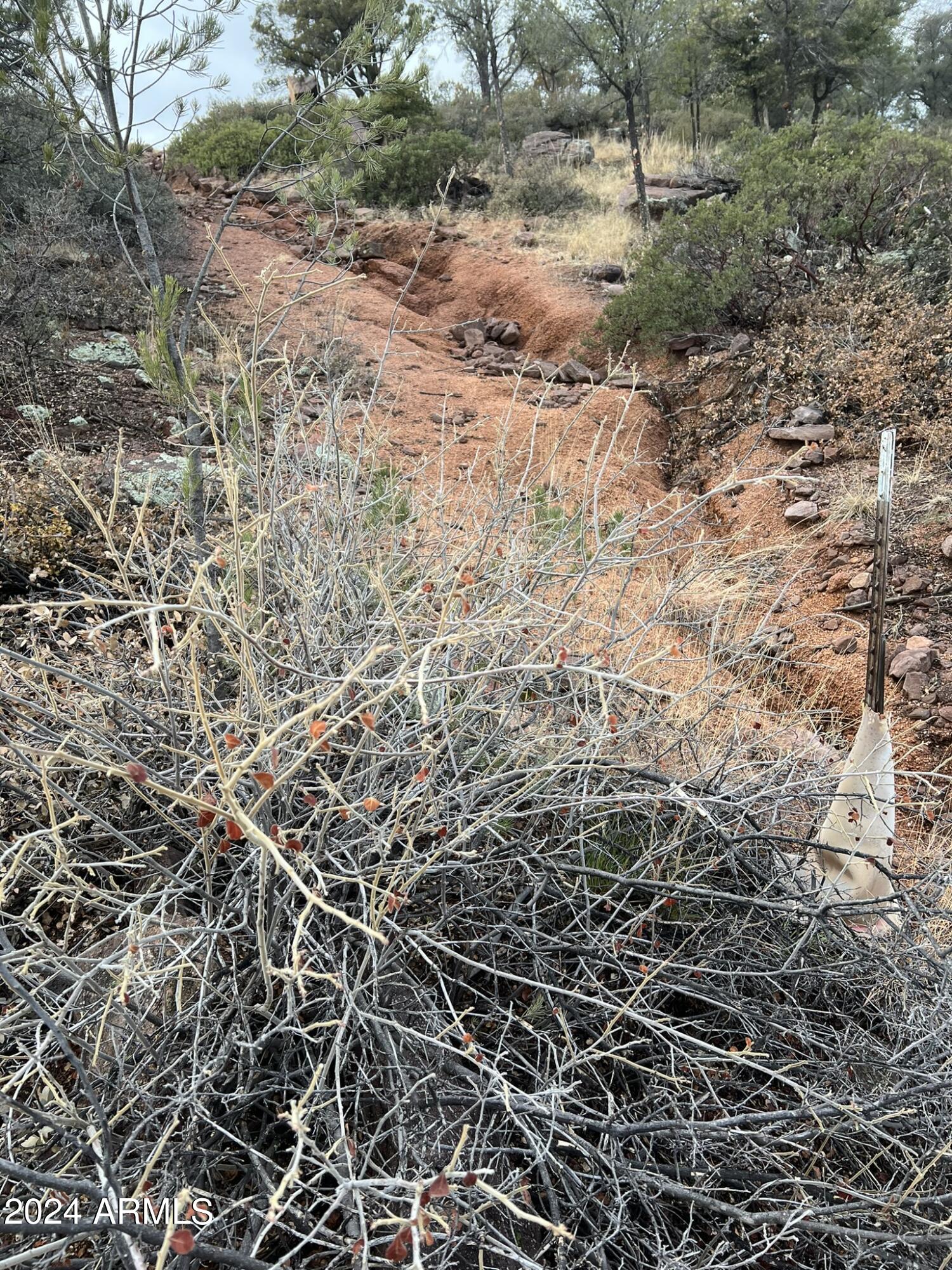 Payson, Arizona 85541, United States, 4 Bedrooms Bedrooms, ,4 BathroomsBathrooms,Residential,Active,60978