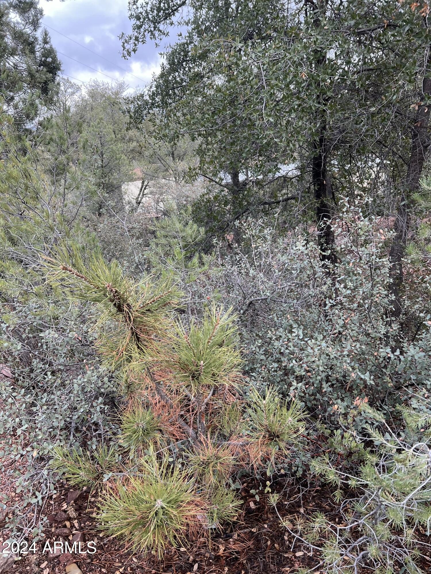 Payson, Arizona 85541, United States, 4 Bedrooms Bedrooms, ,4 BathroomsBathrooms,Residential,Active,60978