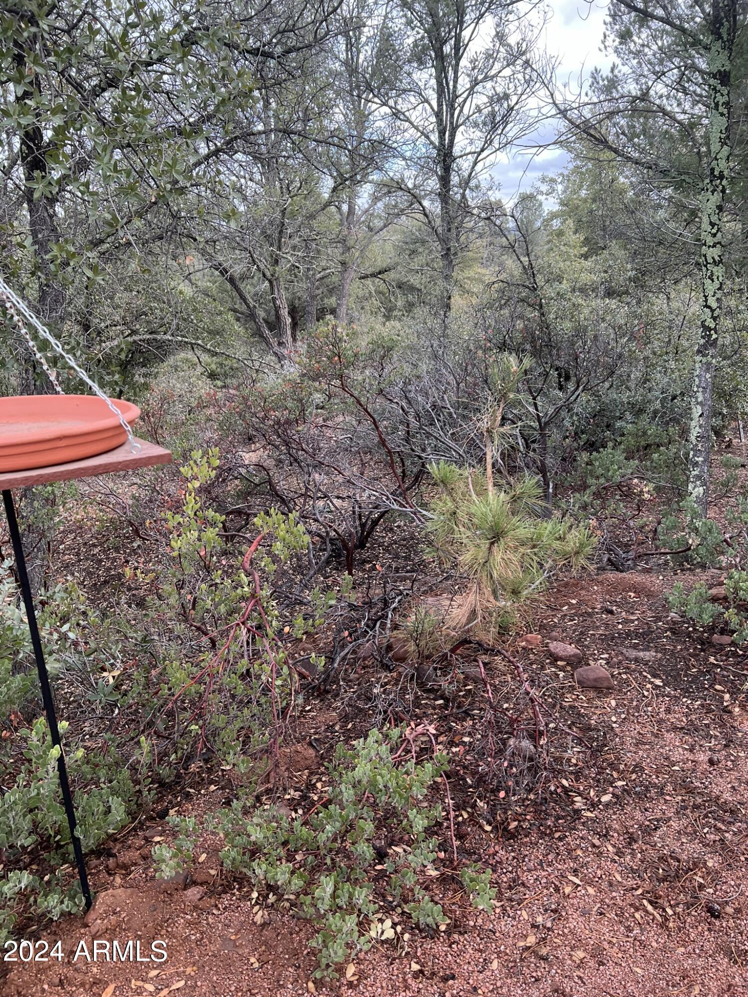 Payson, Arizona 85541, United States, 4 Bedrooms Bedrooms, ,4 BathroomsBathrooms,Residential,Active,60978