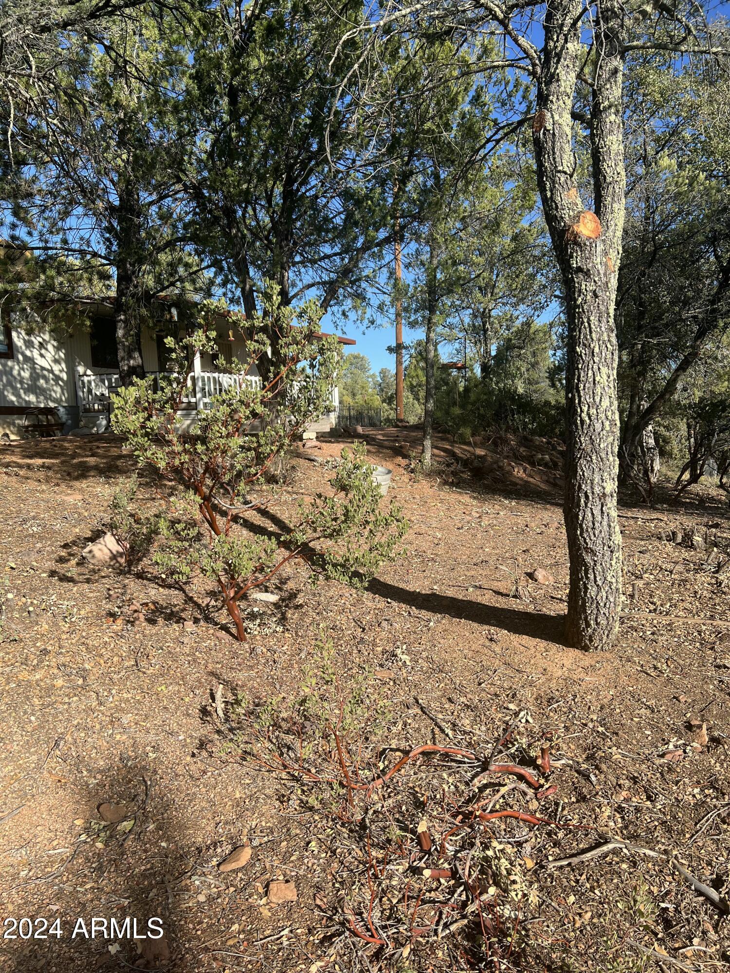 Payson, Arizona 85541, United States, 4 Bedrooms Bedrooms, ,4 BathroomsBathrooms,Residential,Active,60978