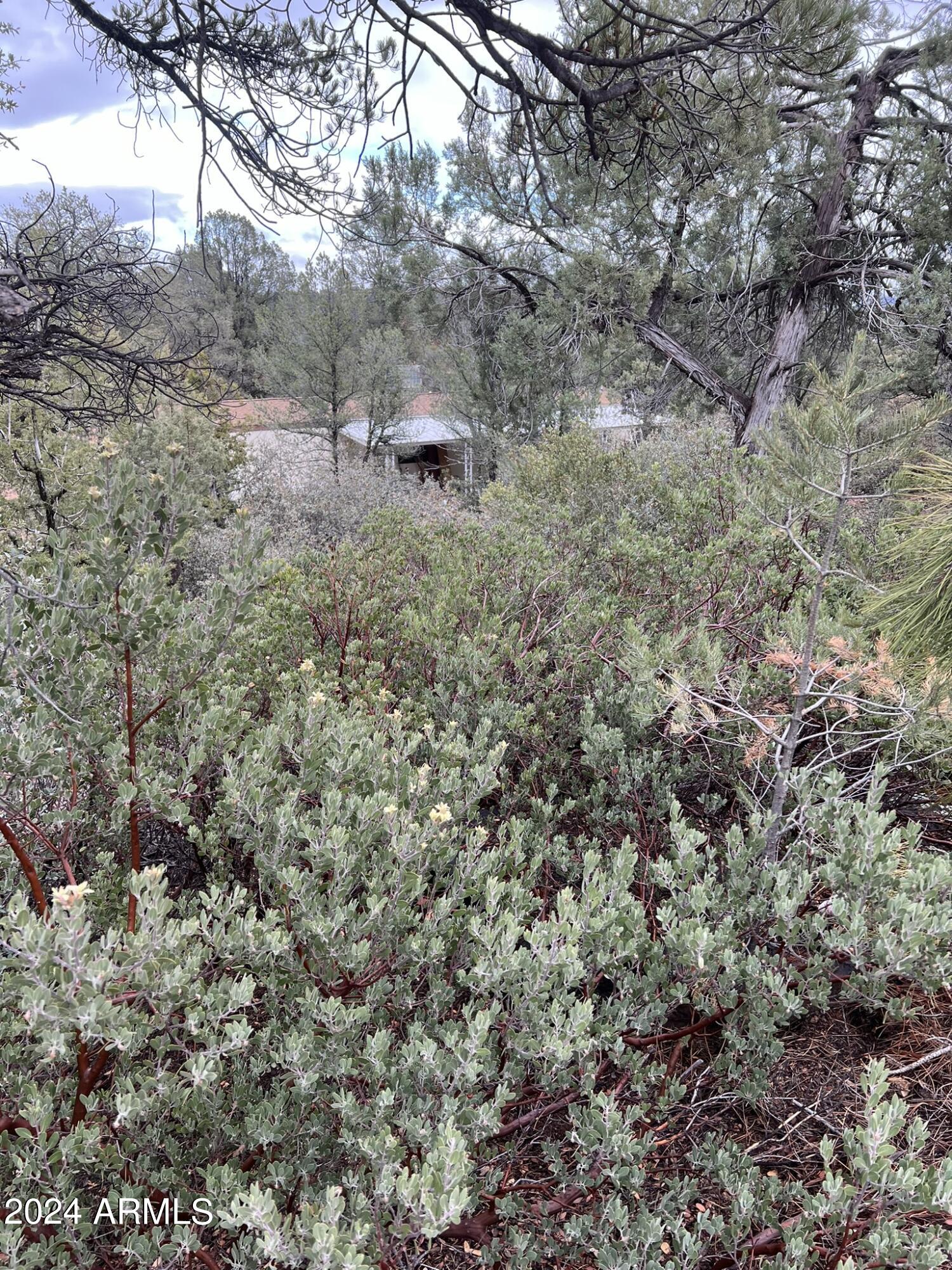 Payson, Arizona 85541, United States, 4 Bedrooms Bedrooms, ,4 BathroomsBathrooms,Residential,Active,60978