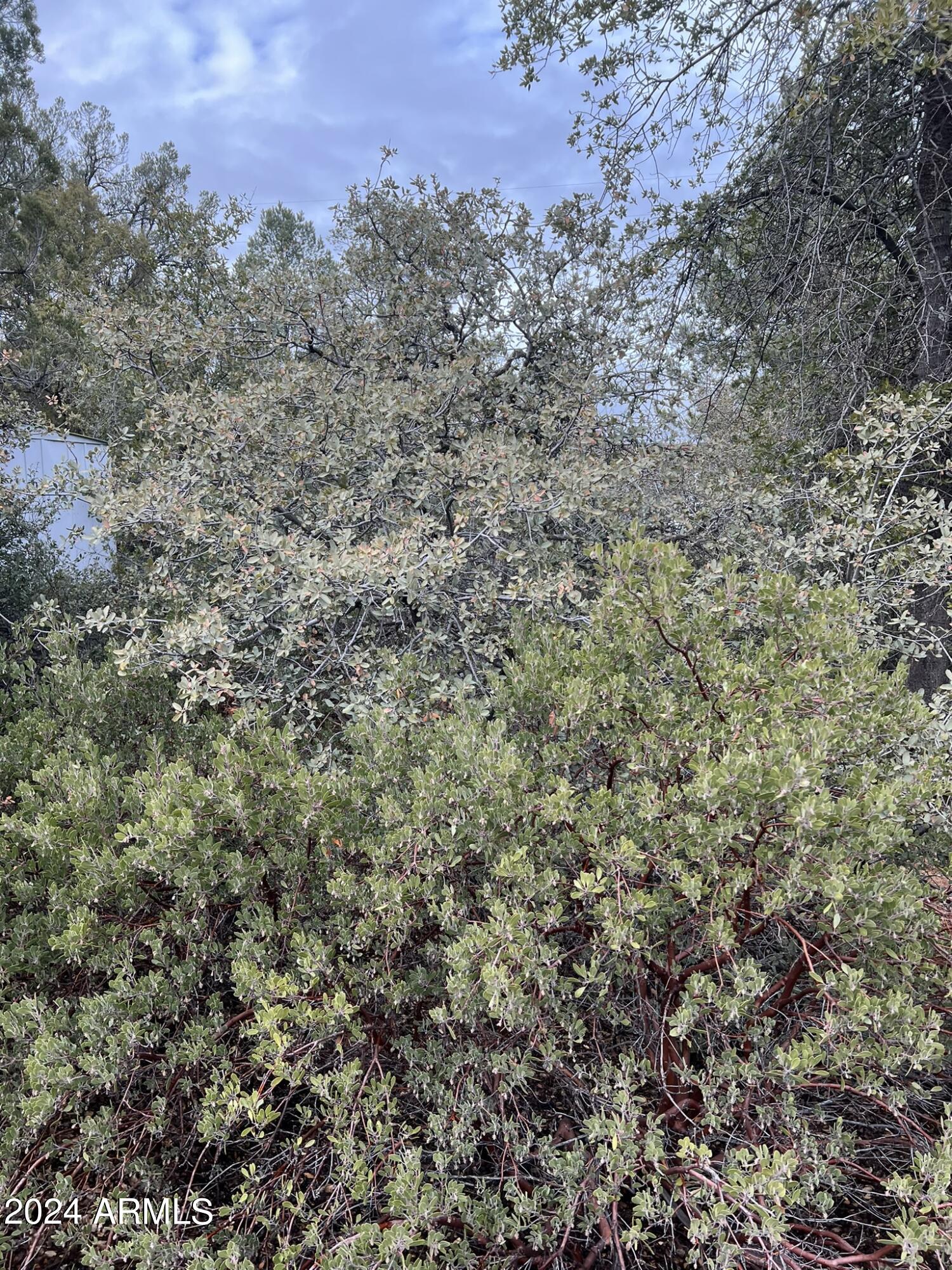 Payson, Arizona 85541, United States, 4 Bedrooms Bedrooms, ,4 BathroomsBathrooms,Residential,Active,60978