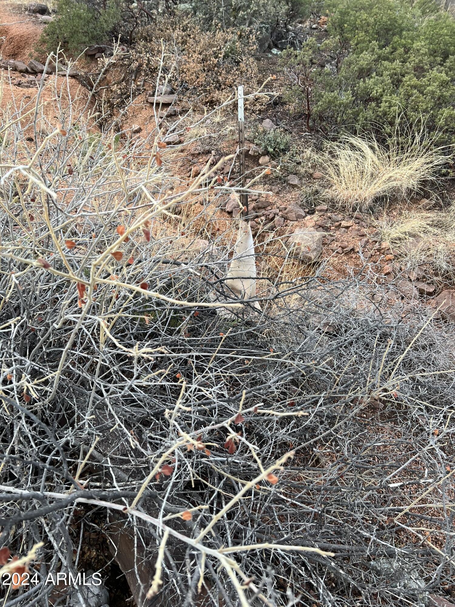 Payson, Arizona 85541, United States, 4 Bedrooms Bedrooms, ,4 BathroomsBathrooms,Residential,Active,60978