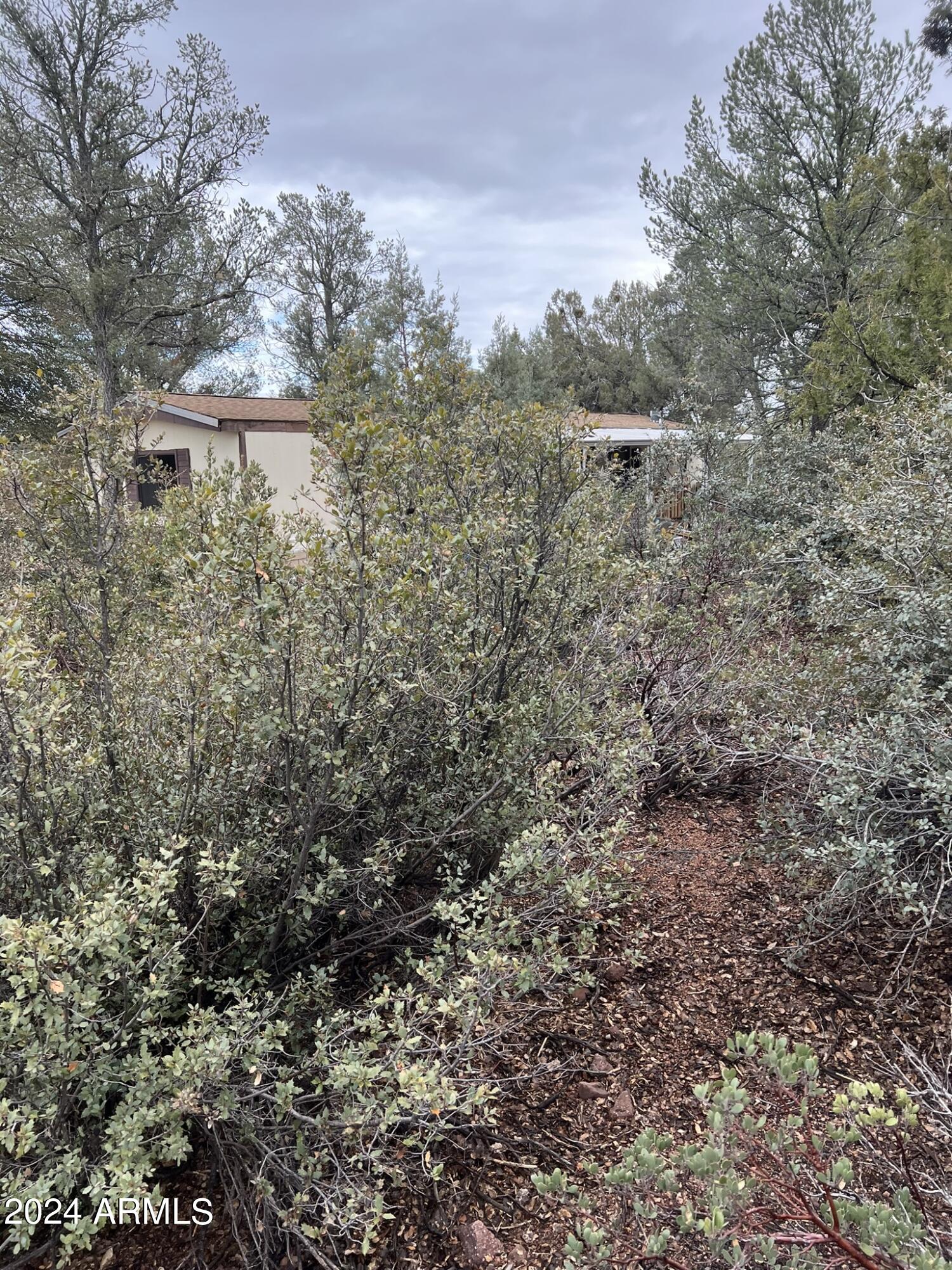 Payson, Arizona 85541, United States, 4 Bedrooms Bedrooms, ,4 BathroomsBathrooms,Residential,Active,60978