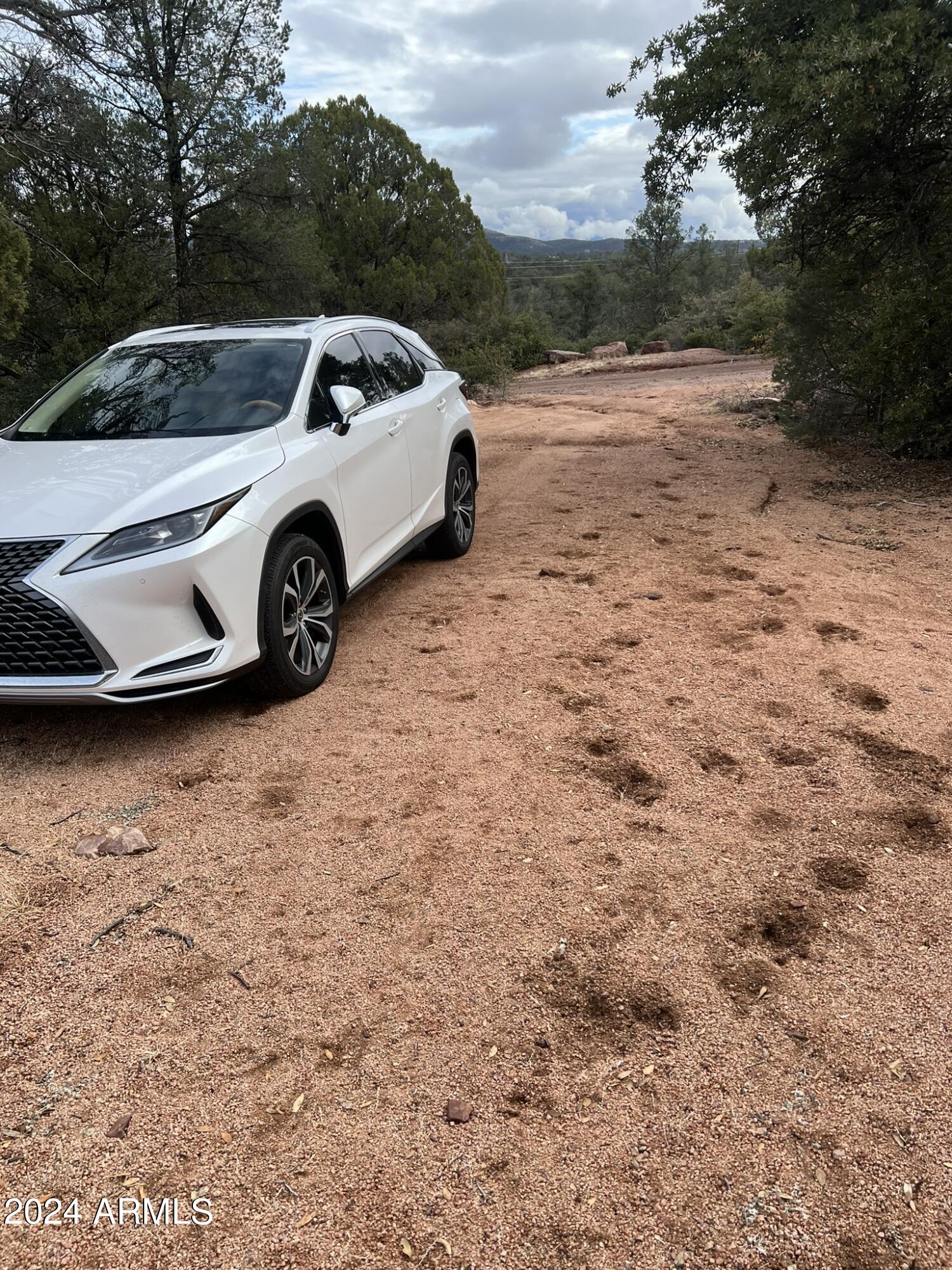 Payson, Arizona 85541, United States, 4 Bedrooms Bedrooms, ,4 BathroomsBathrooms,Residential,Active,60978