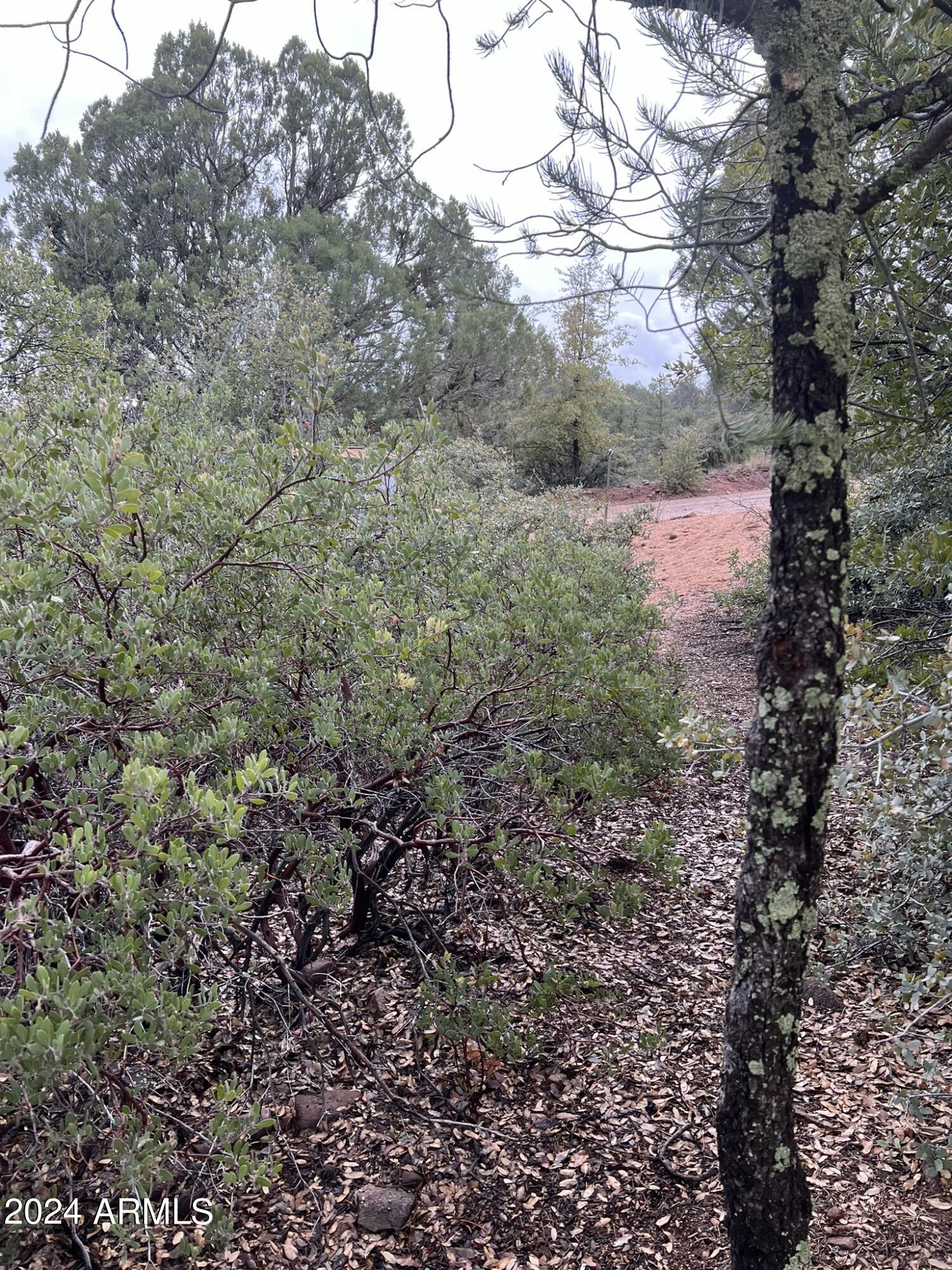 Payson, Arizona 85541, United States, 4 Bedrooms Bedrooms, ,4 BathroomsBathrooms,Residential,Active,60978