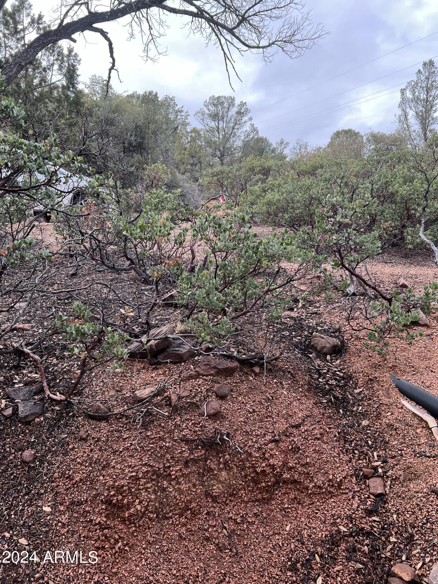 Payson, Arizona 85541, United States, 4 Bedrooms Bedrooms, ,4 BathroomsBathrooms,Residential,Active,60978