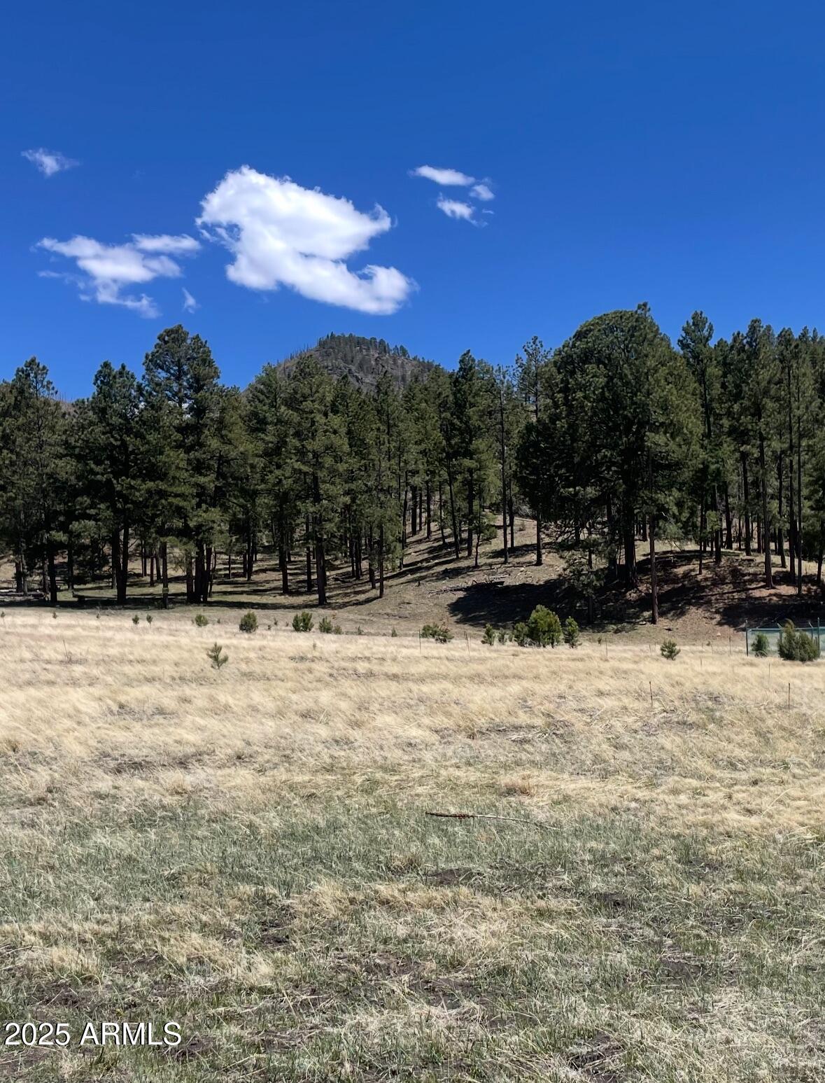 -- Country Road 2276 -- 2