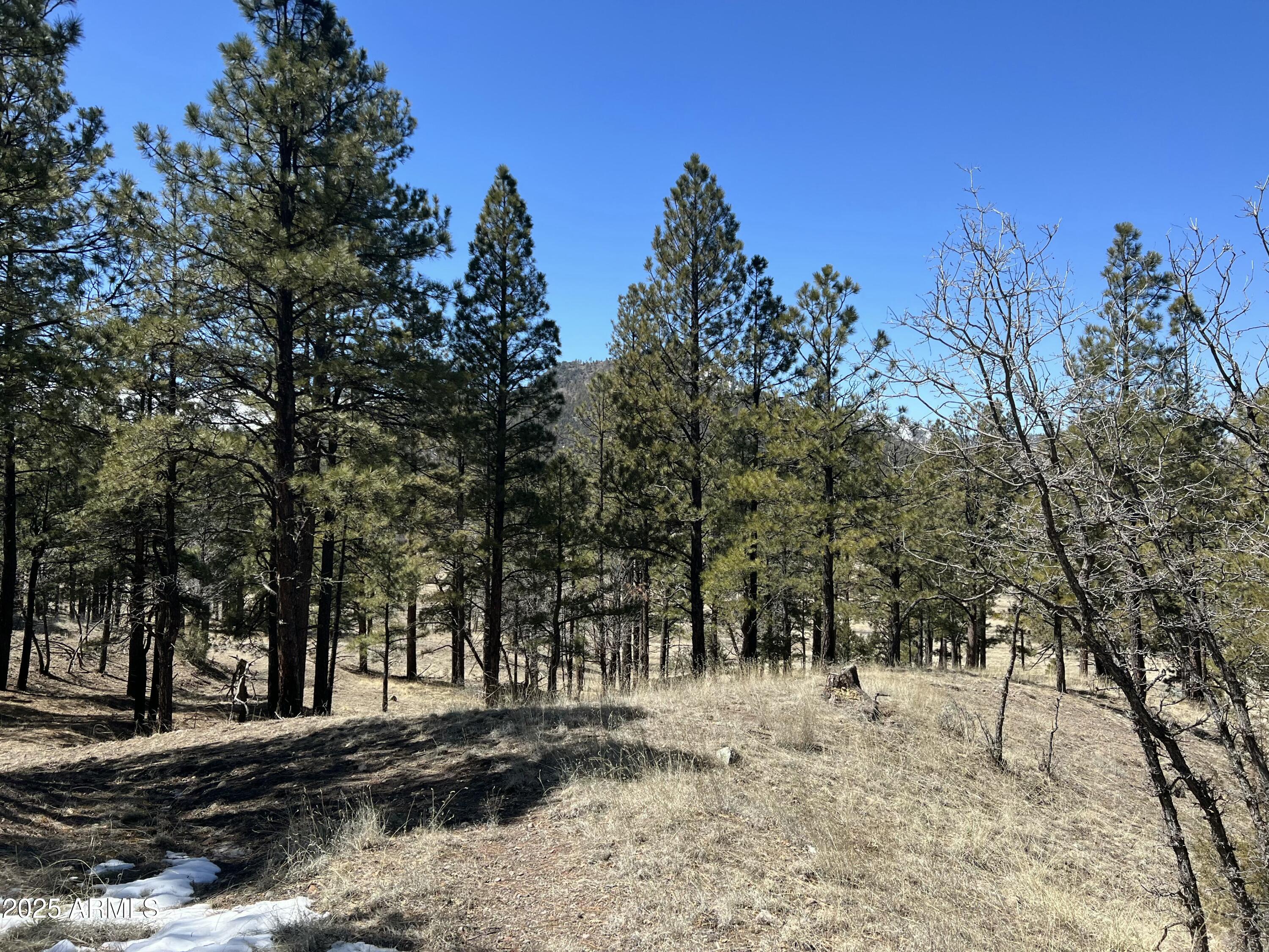 -- Country Road 2276 -- 2