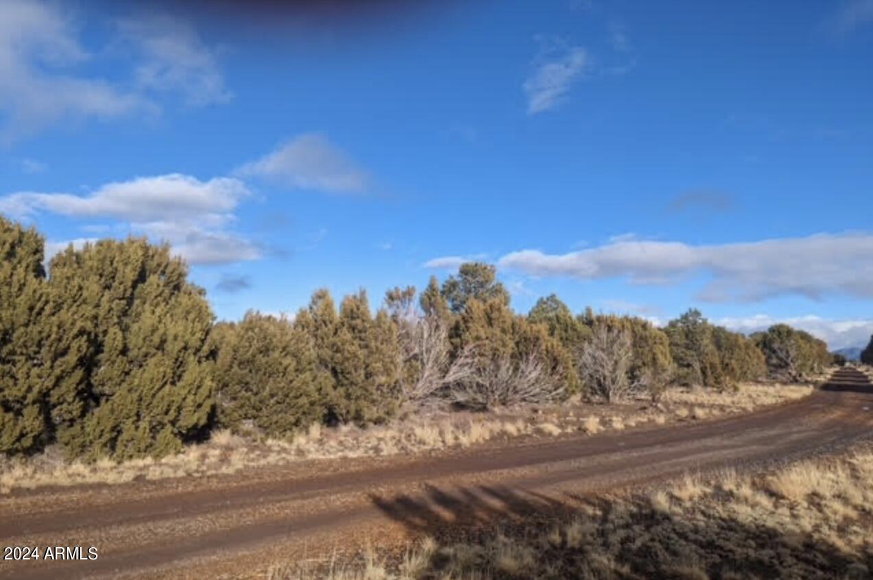 12 N3582 -- (4.86 Acres)