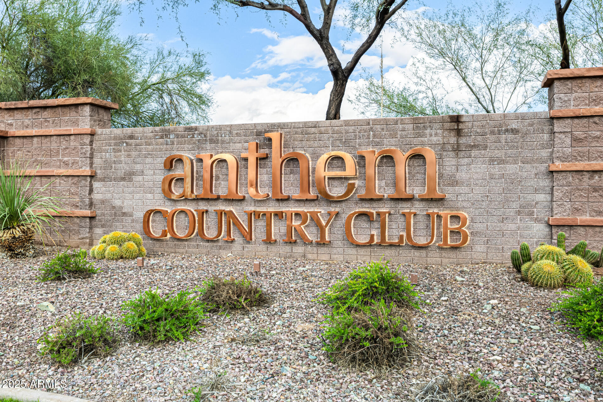 41907 N SPY GLASS Drive