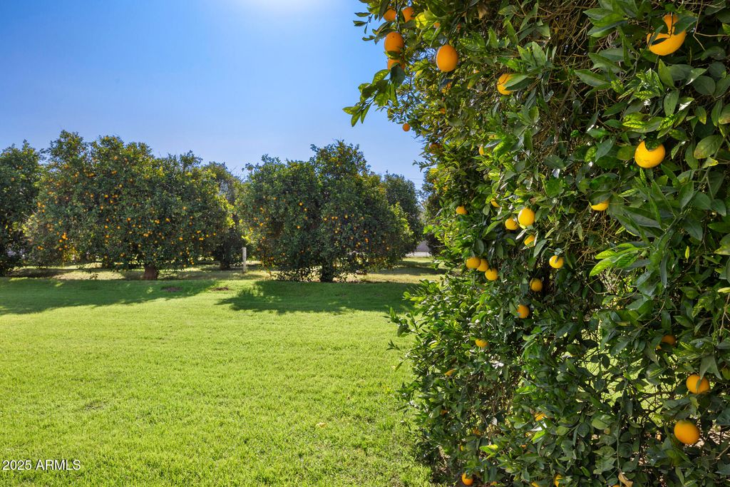 Photo of 17525 E Regal Drive, Queen Creek, AZ 85142 (MLS # 6954988)