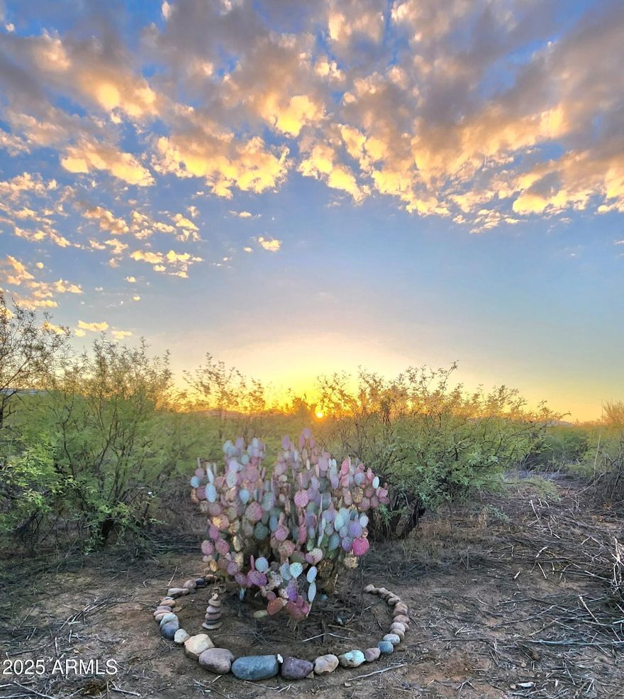 LARGE 4.18 ACRE PARCEL FOR SALE LOCATED WEST OF TUCSON, AZ. POWER AND EXISTING SEPTIC TANK ALREADY ON PROPERTY. CONVENIENT LOCATION THAT IS CLOSE TO AZ HWY 86 WITH JUST A SHORT DRIVE TO THE TUCSON METROPOLITAN AREA.  ENJOY THE BEAUTIFUL SONORAN DESERT AND ITS PEACEFUL WIDE OPEN SPACE. PERFECT FOR YOUR SITE BUILT OR MANUFACTURED HOME. NO HOA. ZONED RH - RURAL HOMESTEAD PIMA COUNTY APN 211-35-086.*BUYER TO VERIFY SCHOOLS, ZONING / USE, ACCESS, UTILITIES, ACCESS & ALL PERTINENT INFORMATION * DIRECTIONS: AZ HWY 86/SANDARIO RD - NORTH ON SANDARIO RD 3.25 MILES, WEST ON SNYDER HILL RD ½ MILE, NORTH ON DUSTY FLAT TRAIL 2/3 MILE, THEN WEST ON DUSTY FLAT PLACE APPX 830 FT TO THE SE CORNER OF PARCEL. USE AERIAL MAPS & GPS COORD 32.171794, -111.246677.