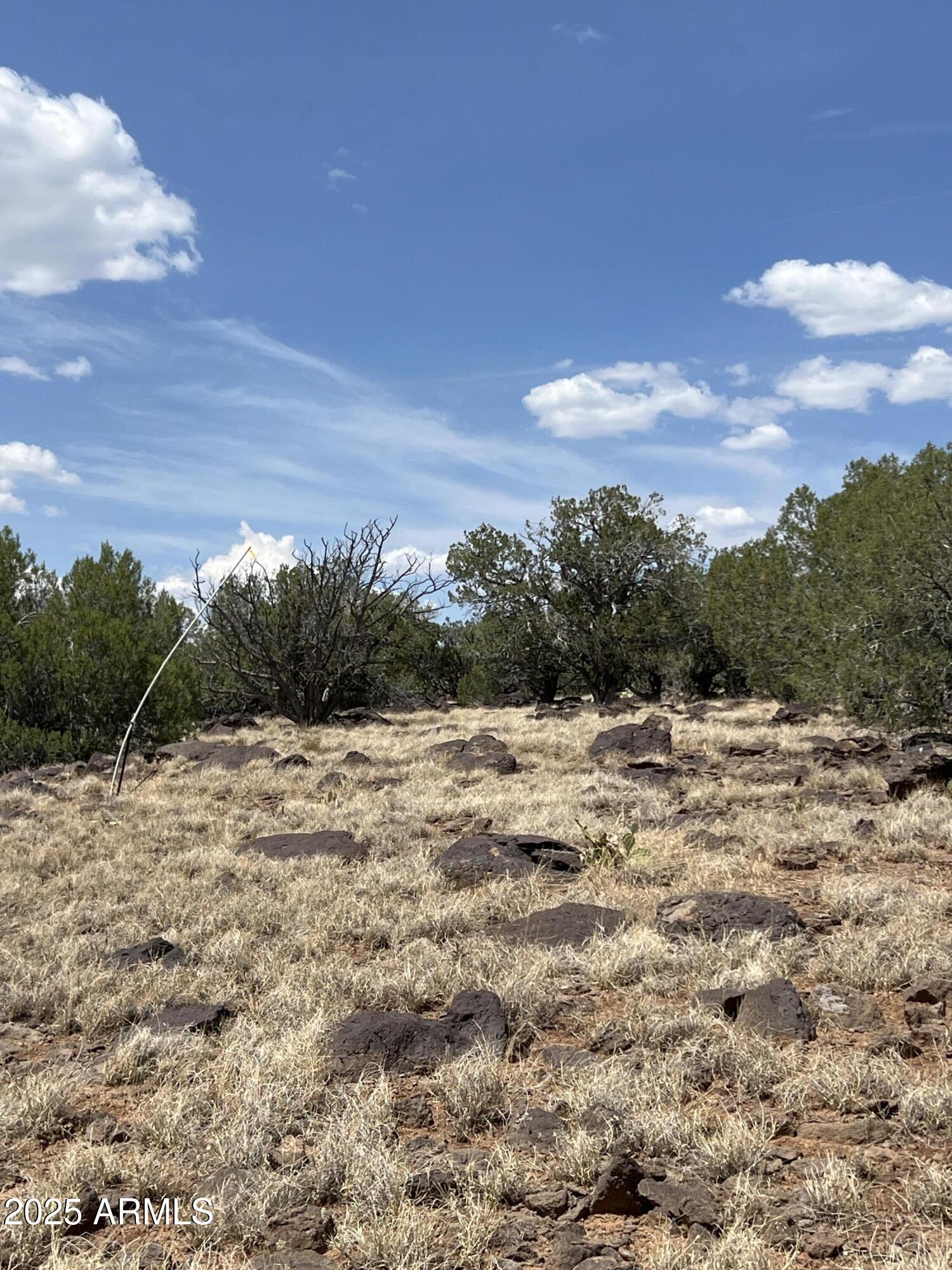 AZ JUNIPERWOOD RANCH UNIT 6 - Land