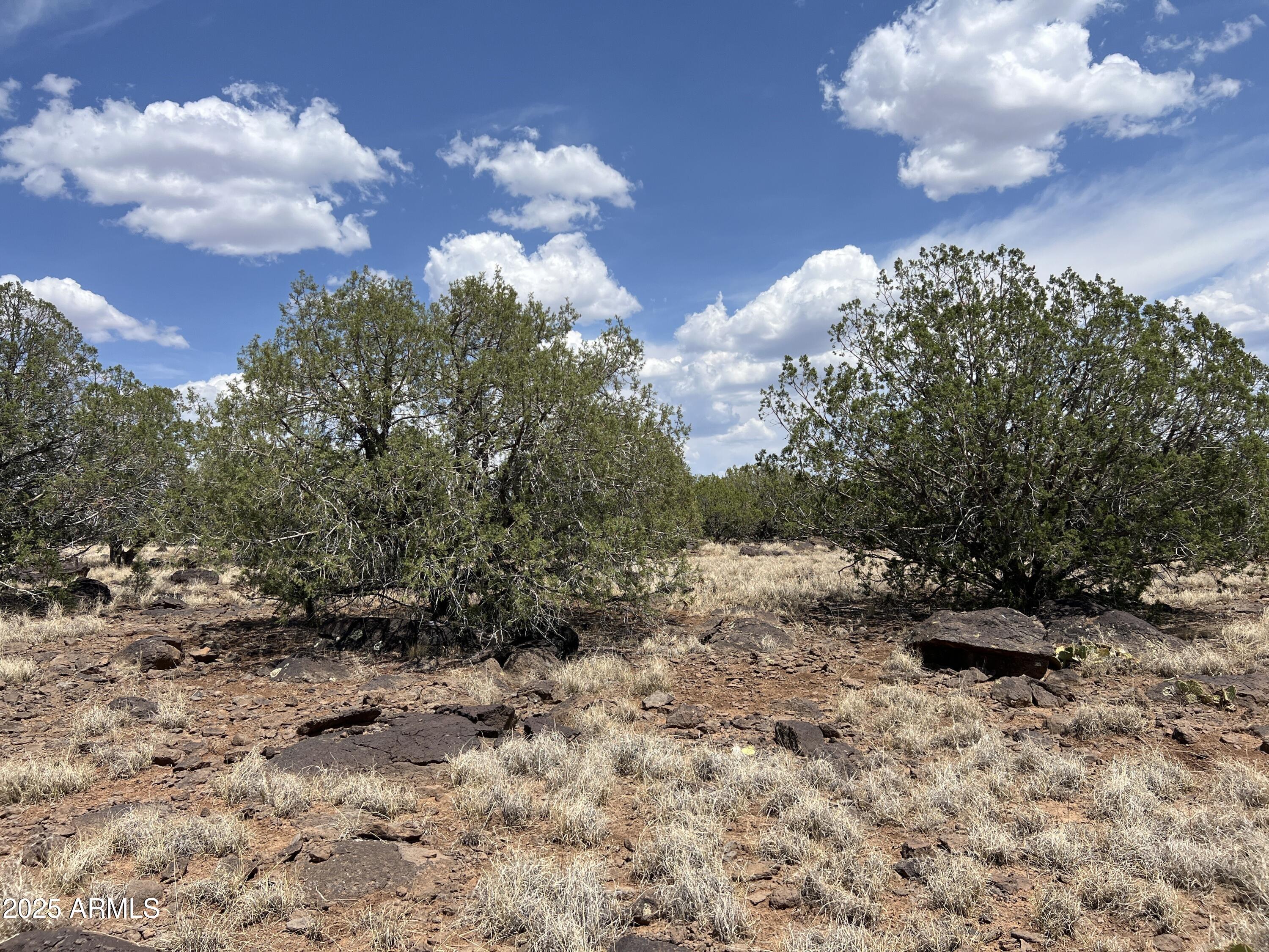 AZ JUNIPERWOOD RANCH UNIT 6 - Land
