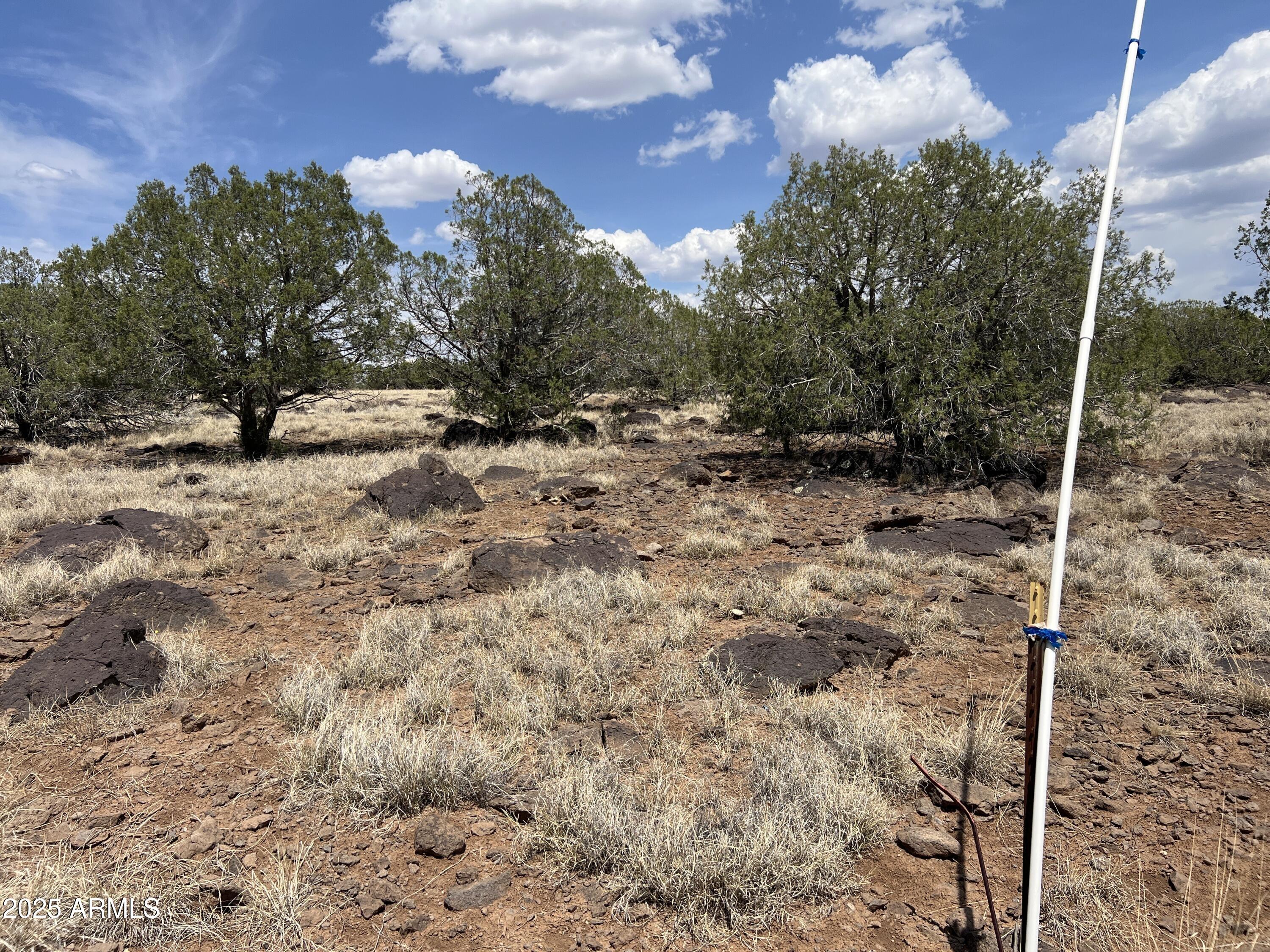 AZ JUNIPERWOOD RANCH UNIT 6 - Land