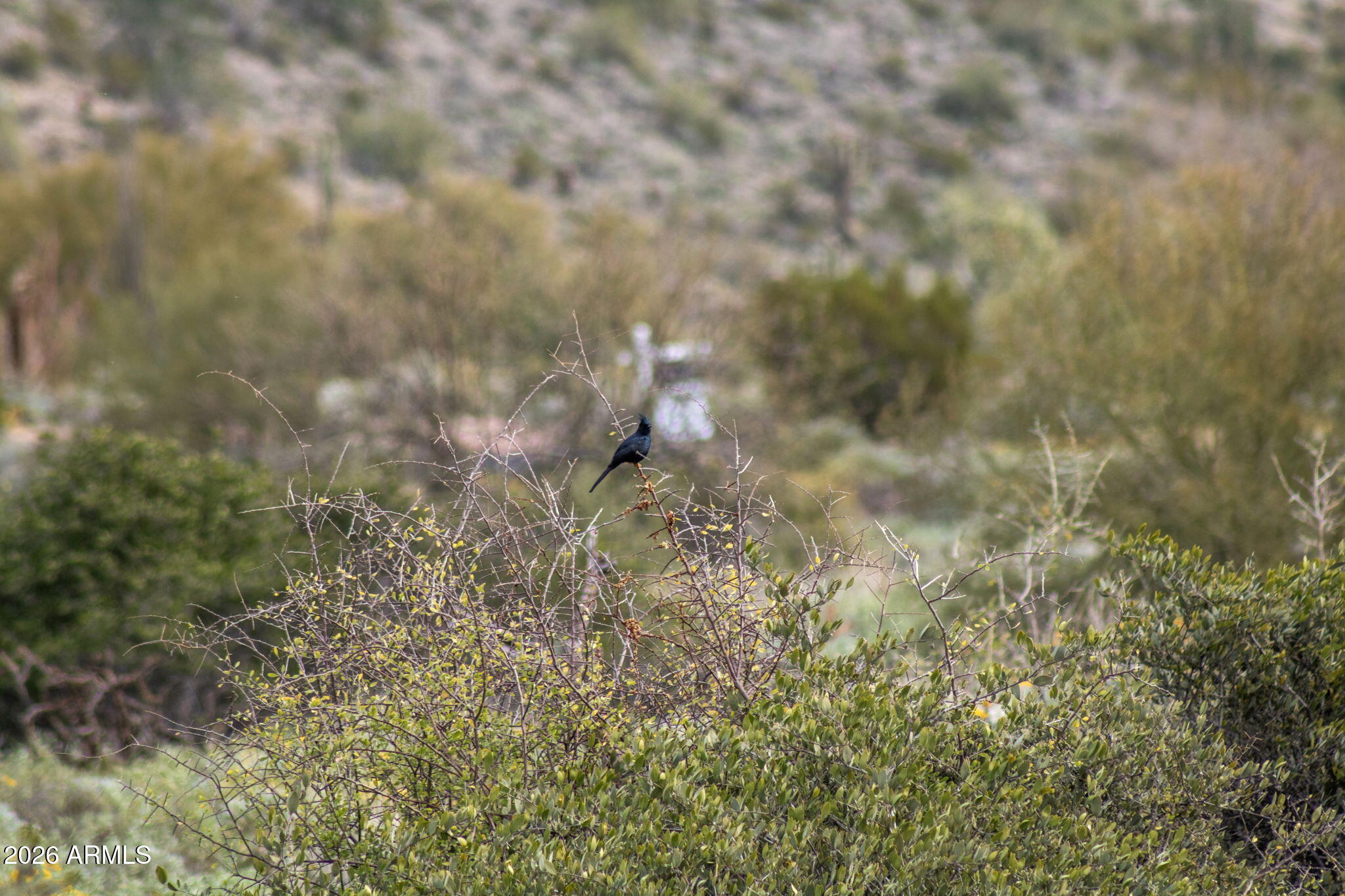 EAGLES NEST PARCEL 6 - Land
