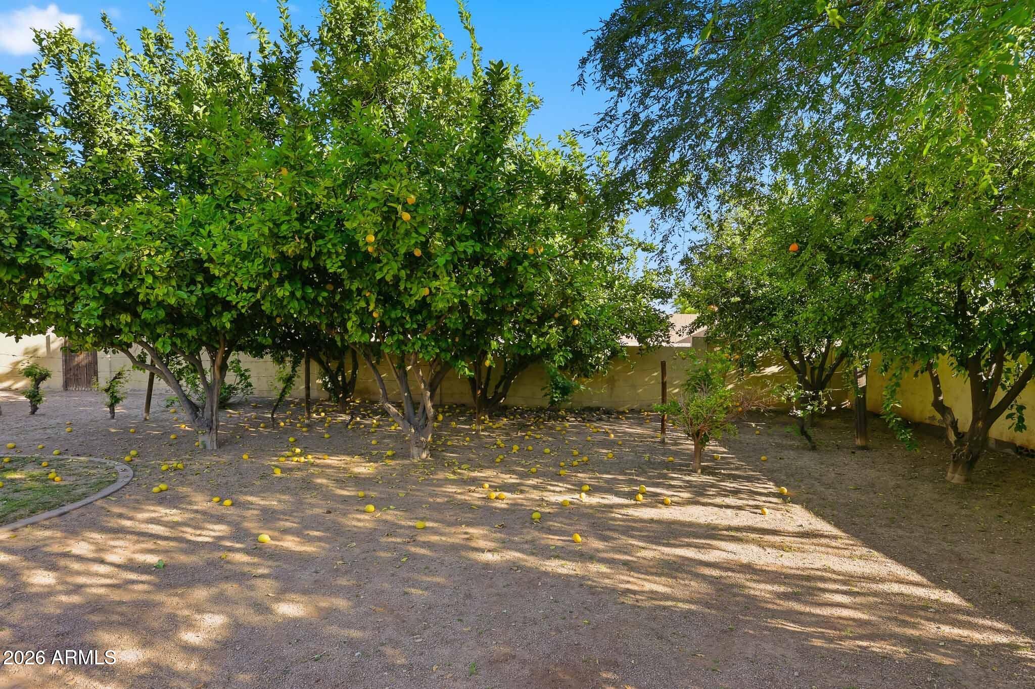 SARIVAL GARDENS - Residential