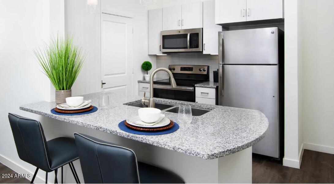 1441 E Germann Road 1