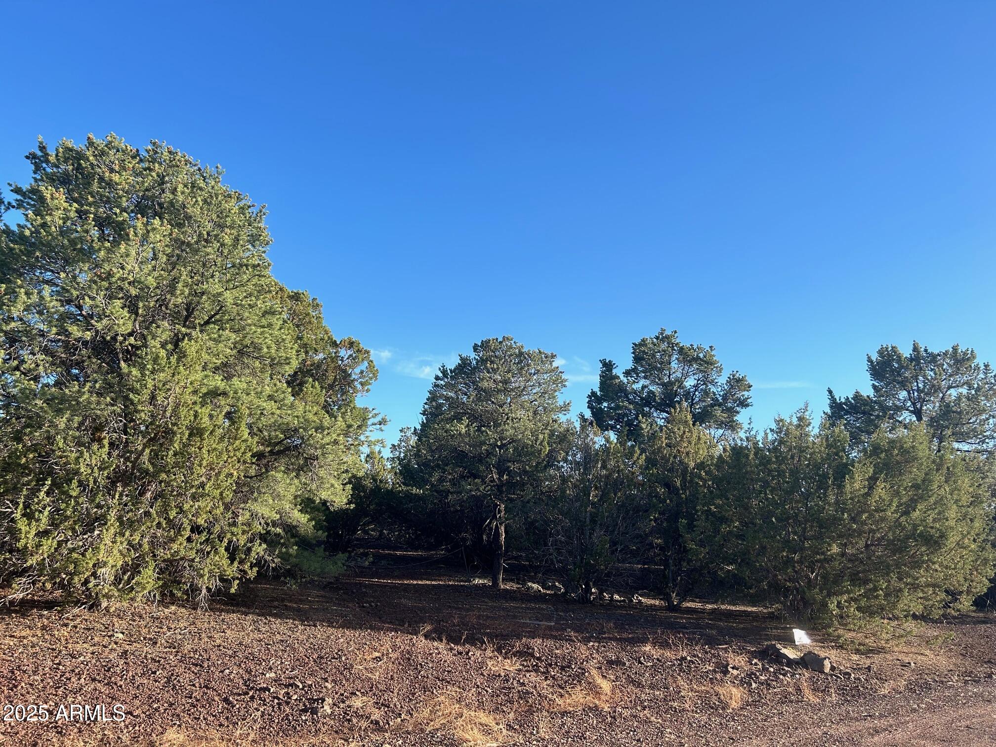 Lot 33 Ridgeview Lane 33