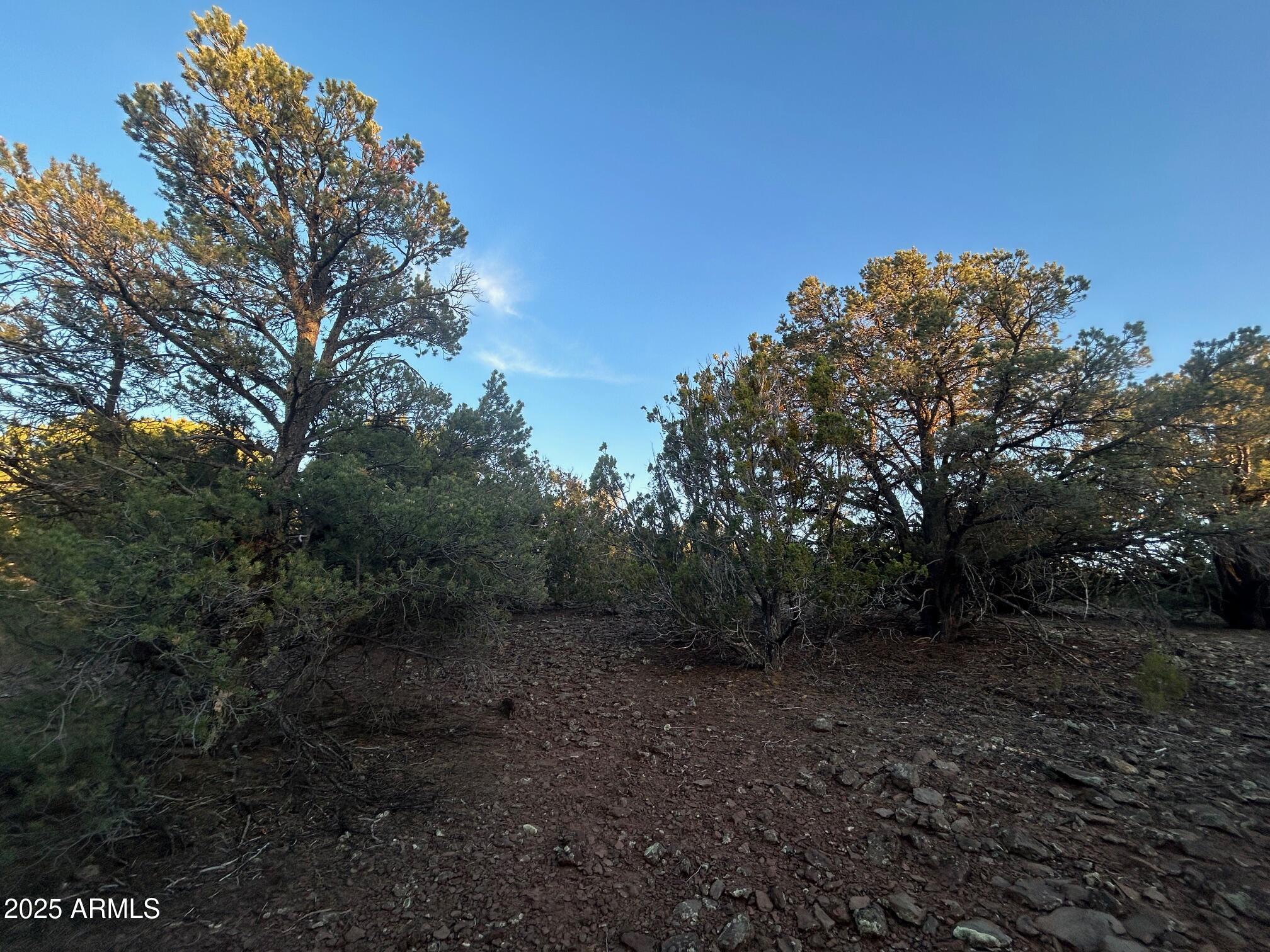 Lot 33 Ridgeview Lane 33