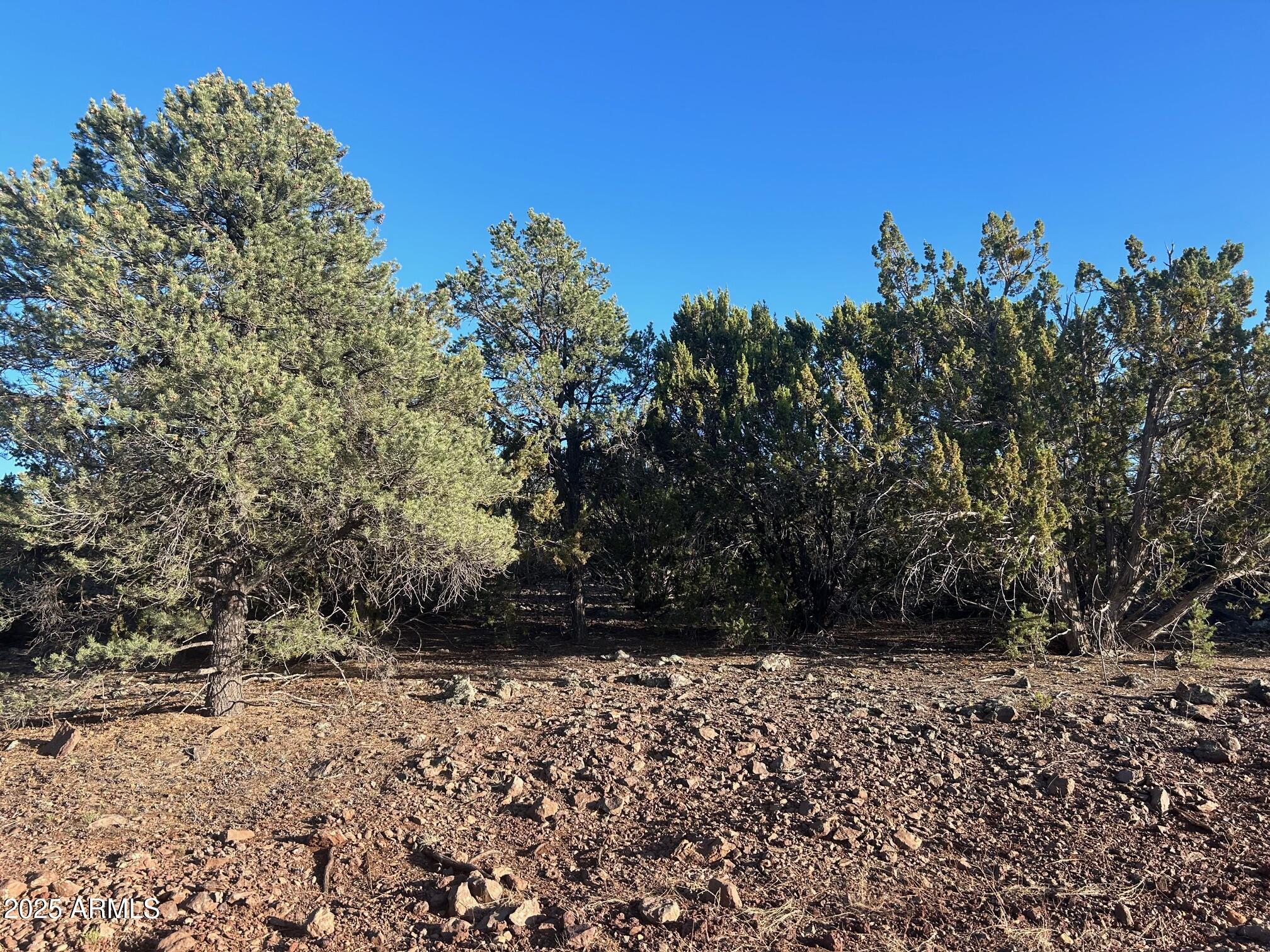 Lot 33 Ridgeview Lane 33