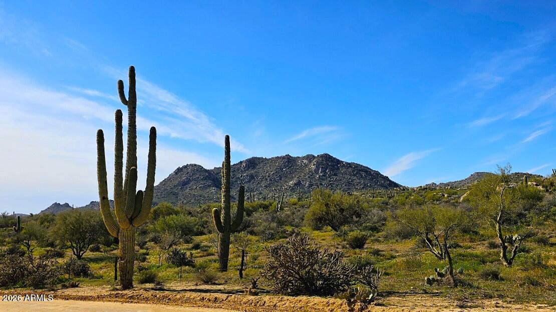 Rio Verde Foothills - Land