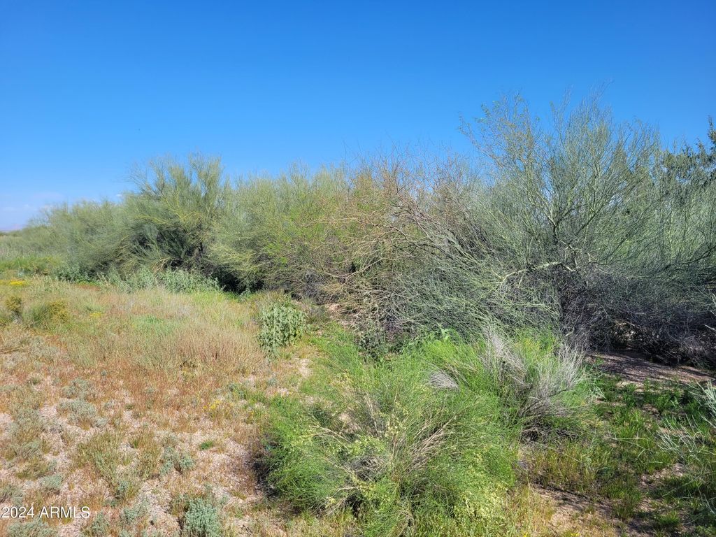 Photo of 0 S 84 Highway #-, Maricopa, AZ 85138 (MLS # 6685120)