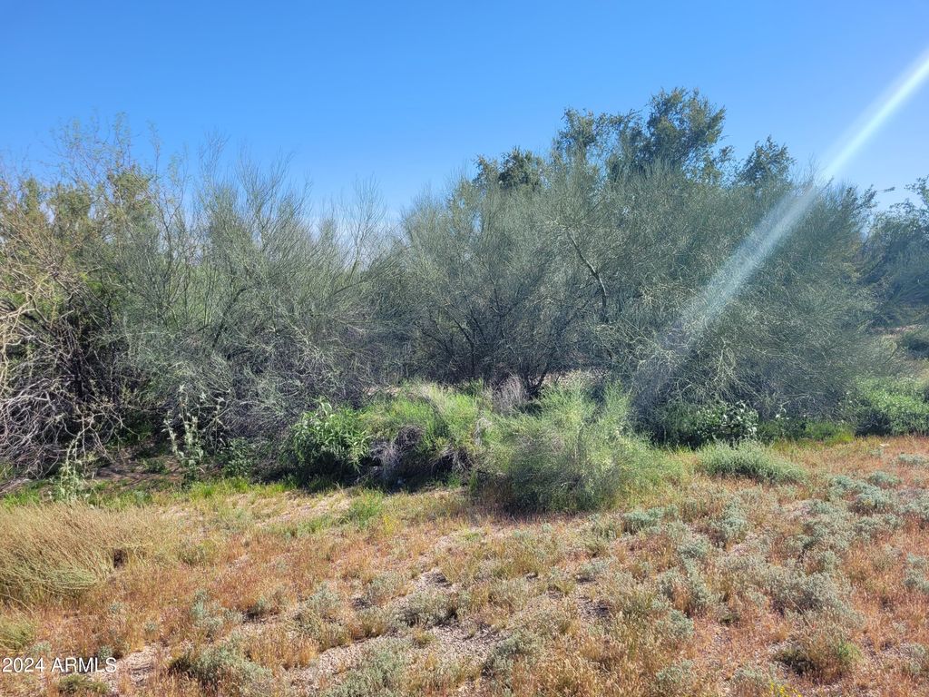 Photo of 0 S 84 Highway #-, Maricopa, AZ 85138 (MLS # 6685120)