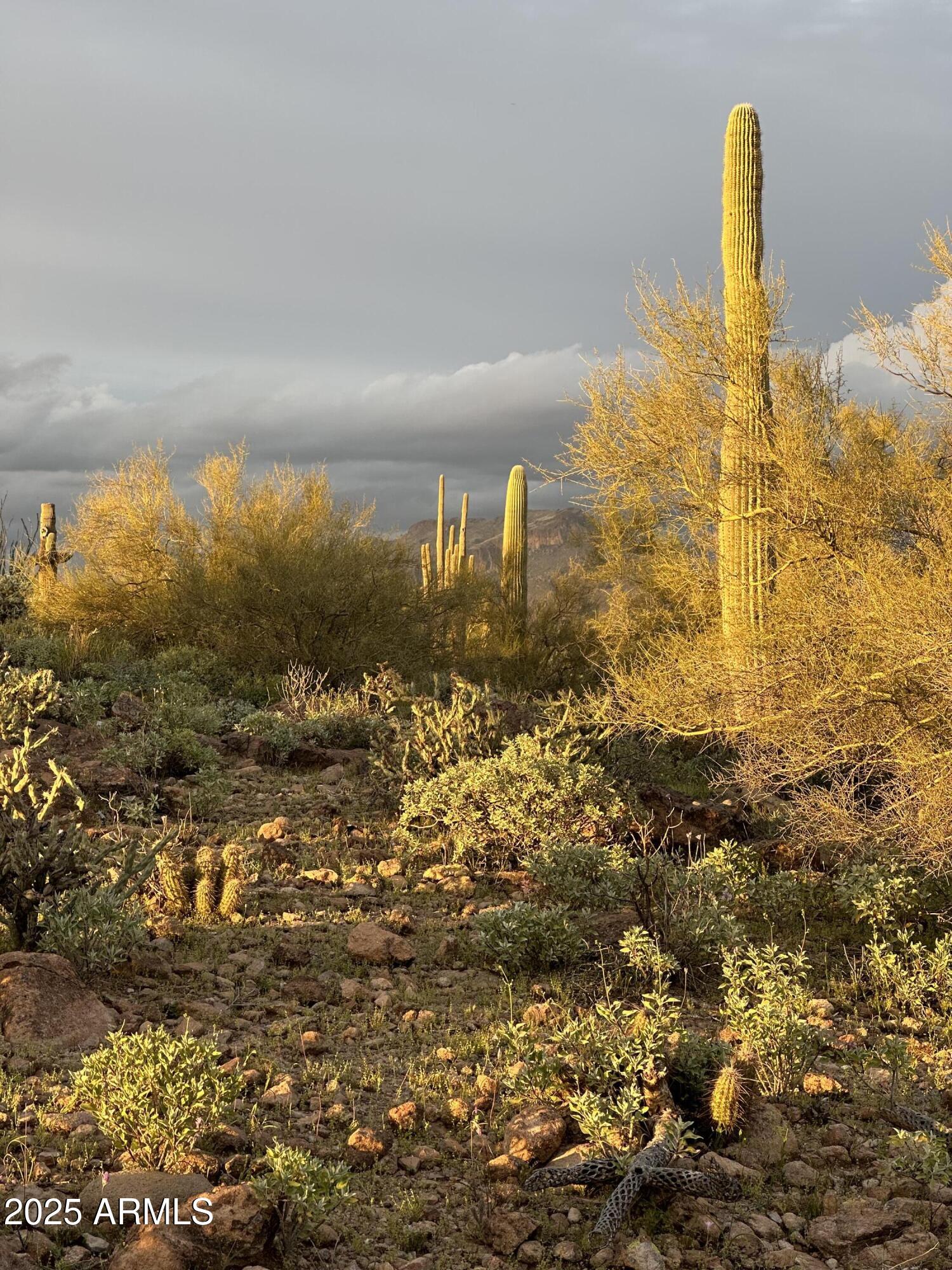 0 N ANGEL BASIN Road 1