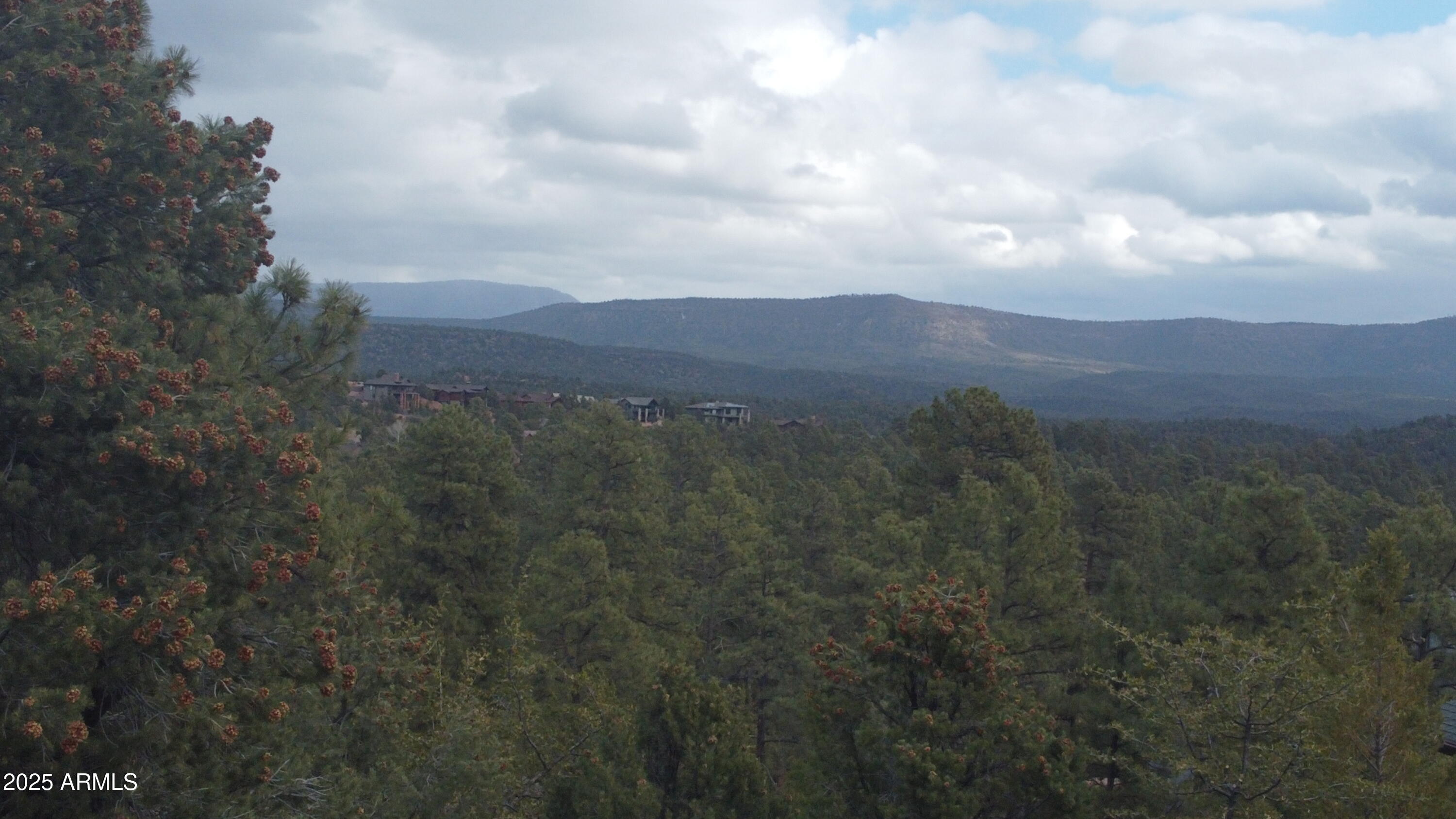 515 N GRAPEVINE Drive 439