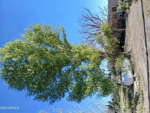 A home in Willcox