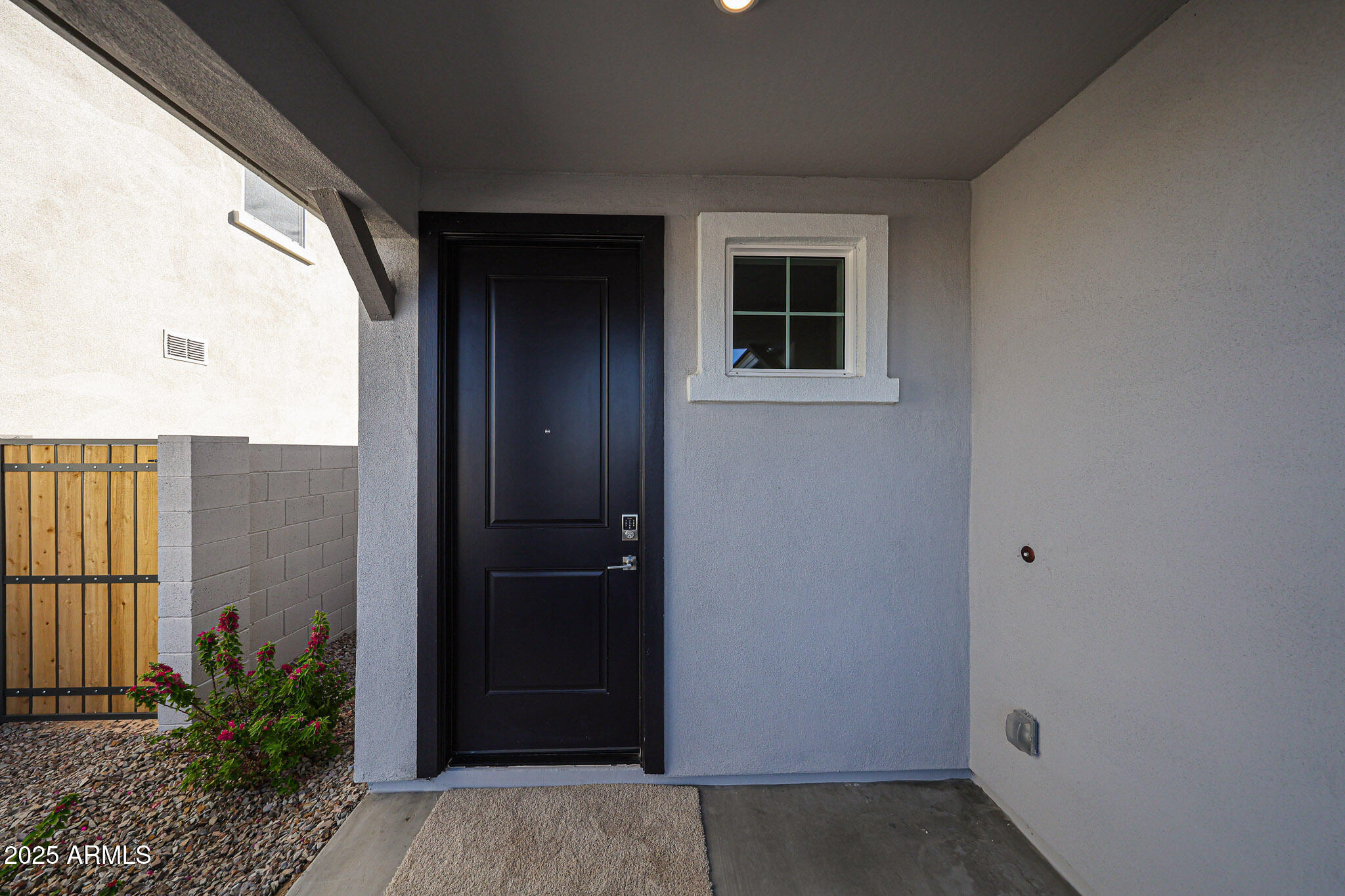 30507 W WHITETHORN ACACIA --