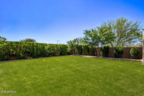 A home in Queen Creek