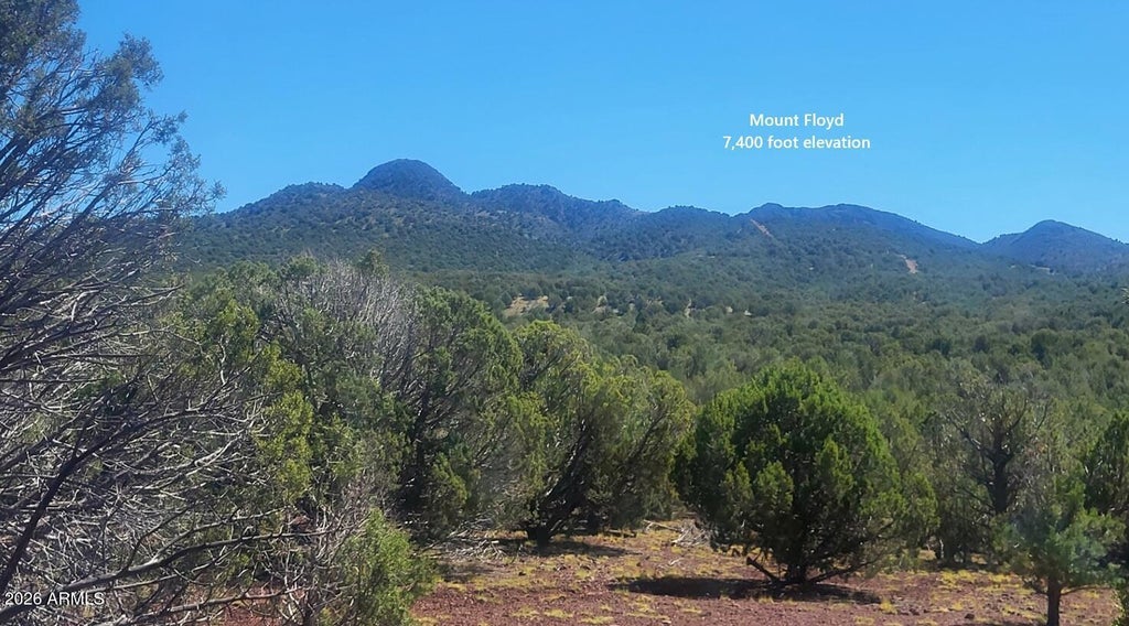Photo of 1063 Mystic Way #1063, Williams, AZ 86046 (MLS # 7095433)