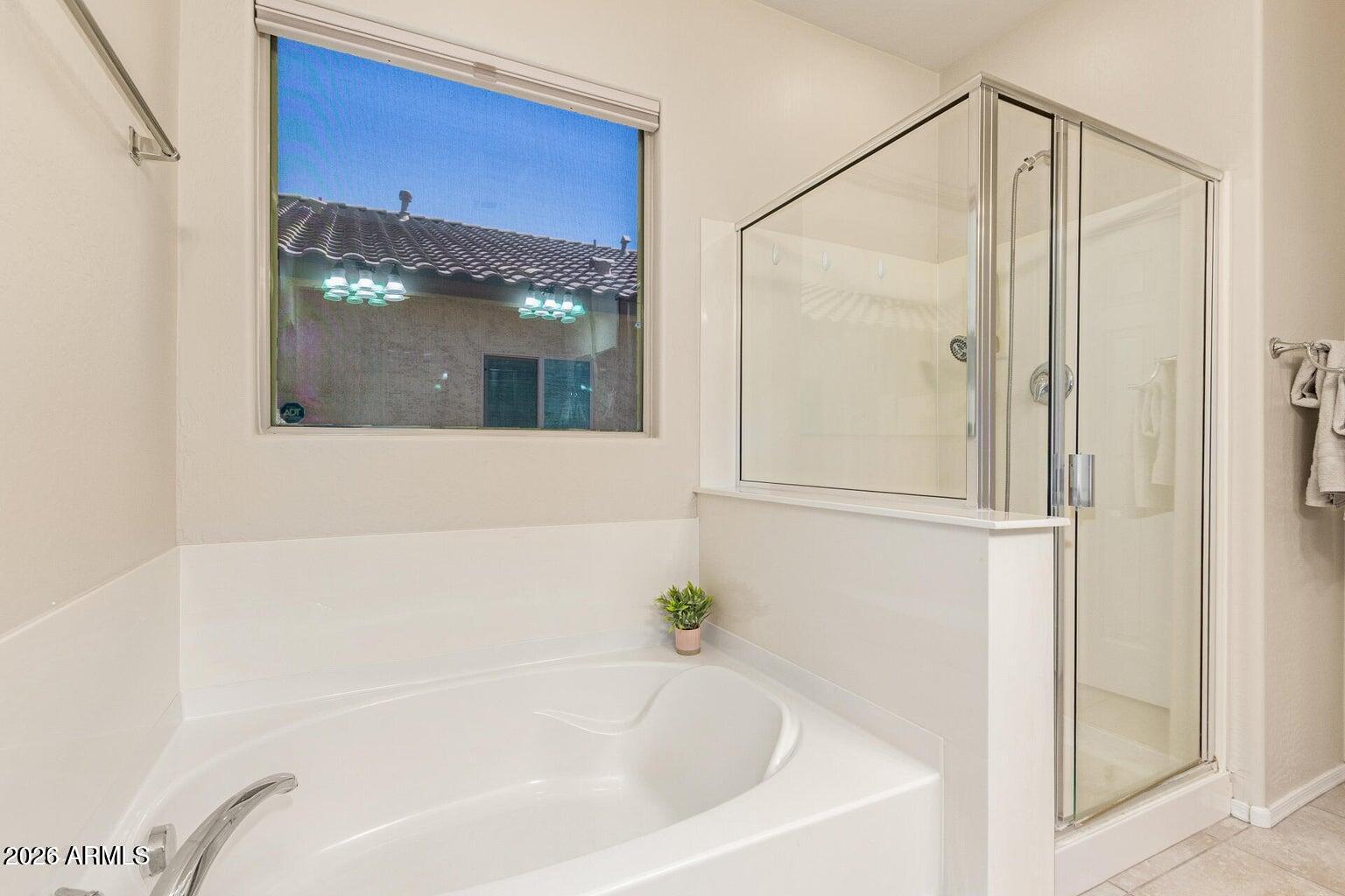 6502 W Desert Blossom Way