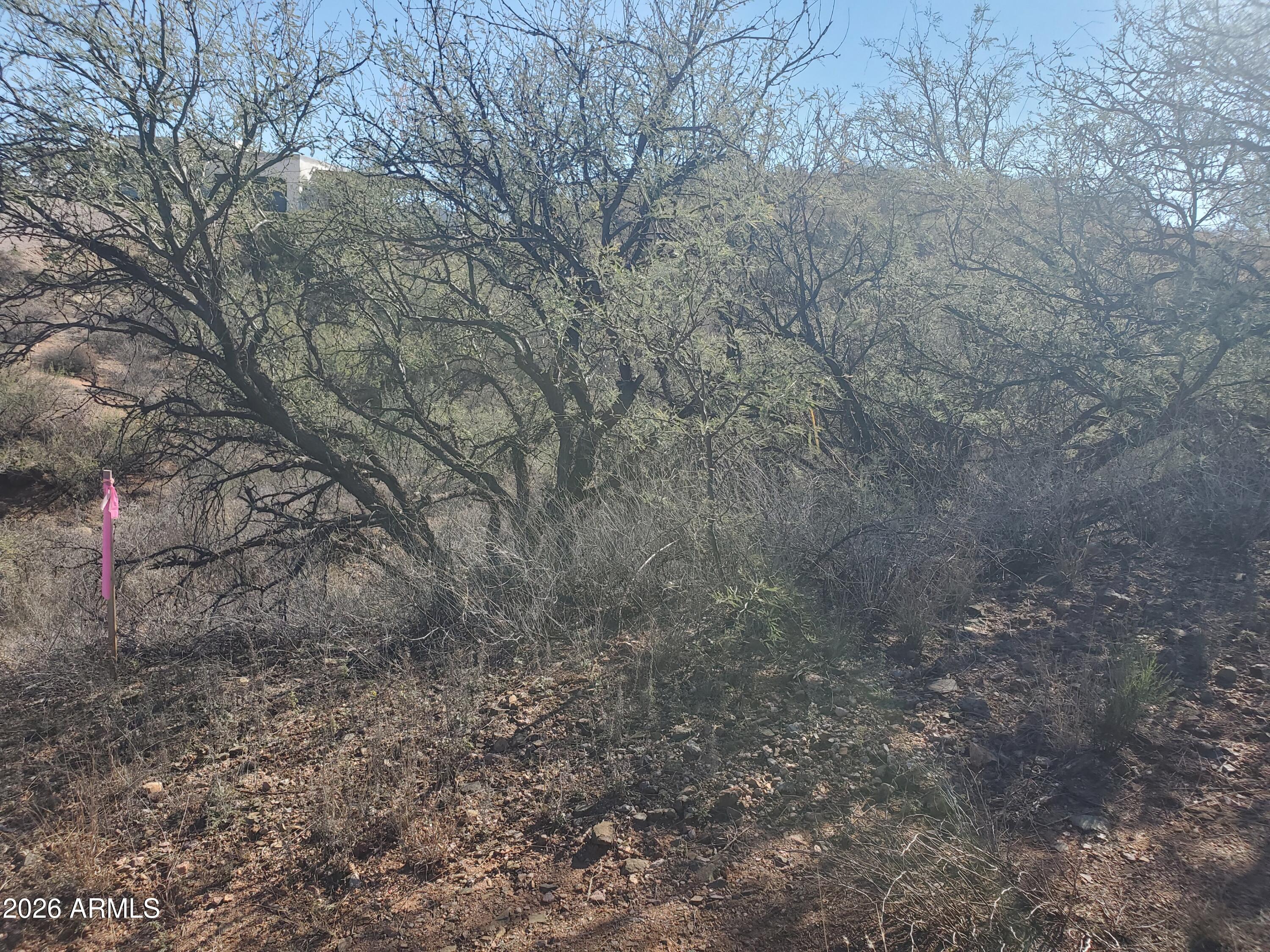 RIO RICO ESTATES 11 - Land